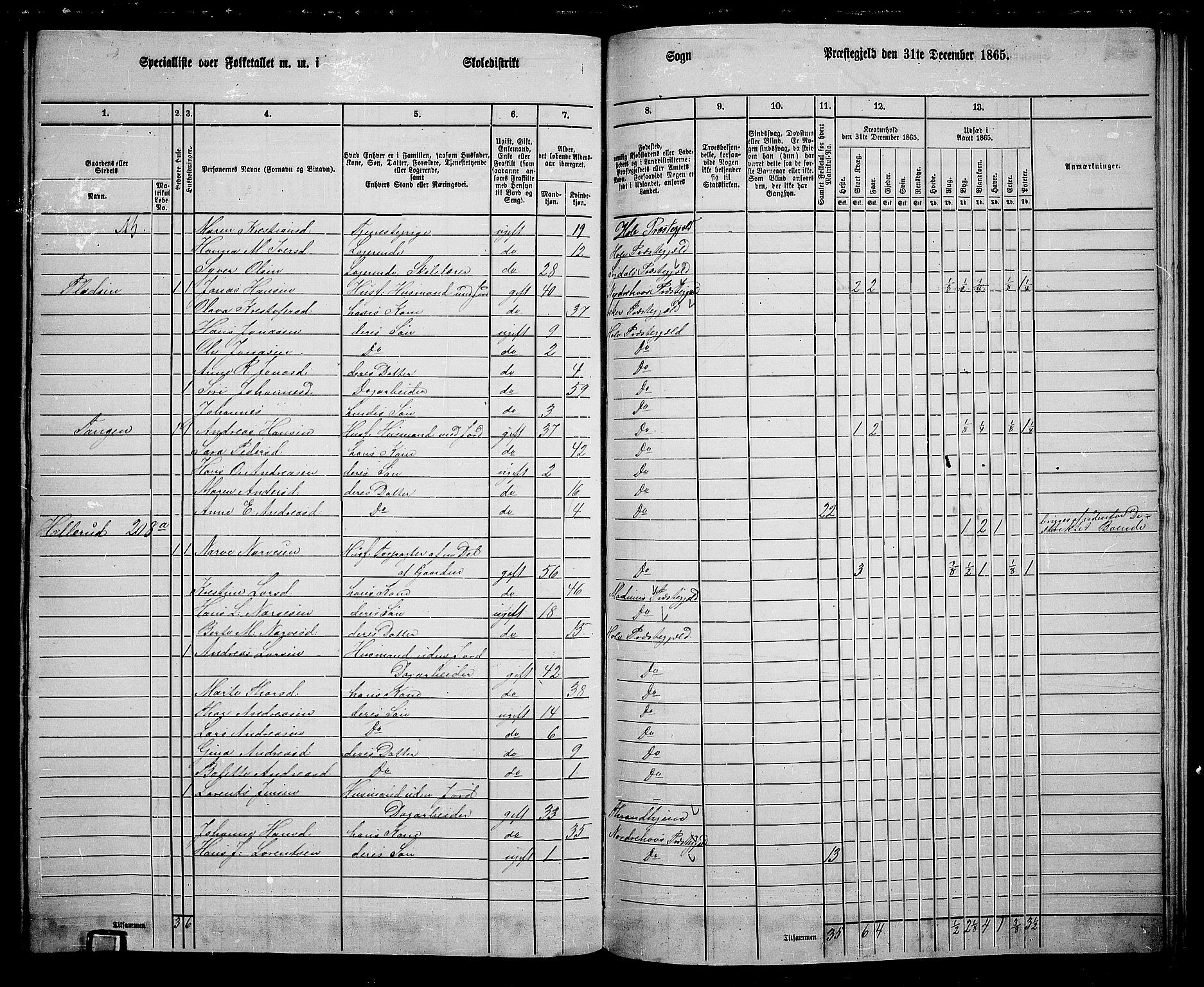 RA, 1865 census for Hole, 1865, p. 140