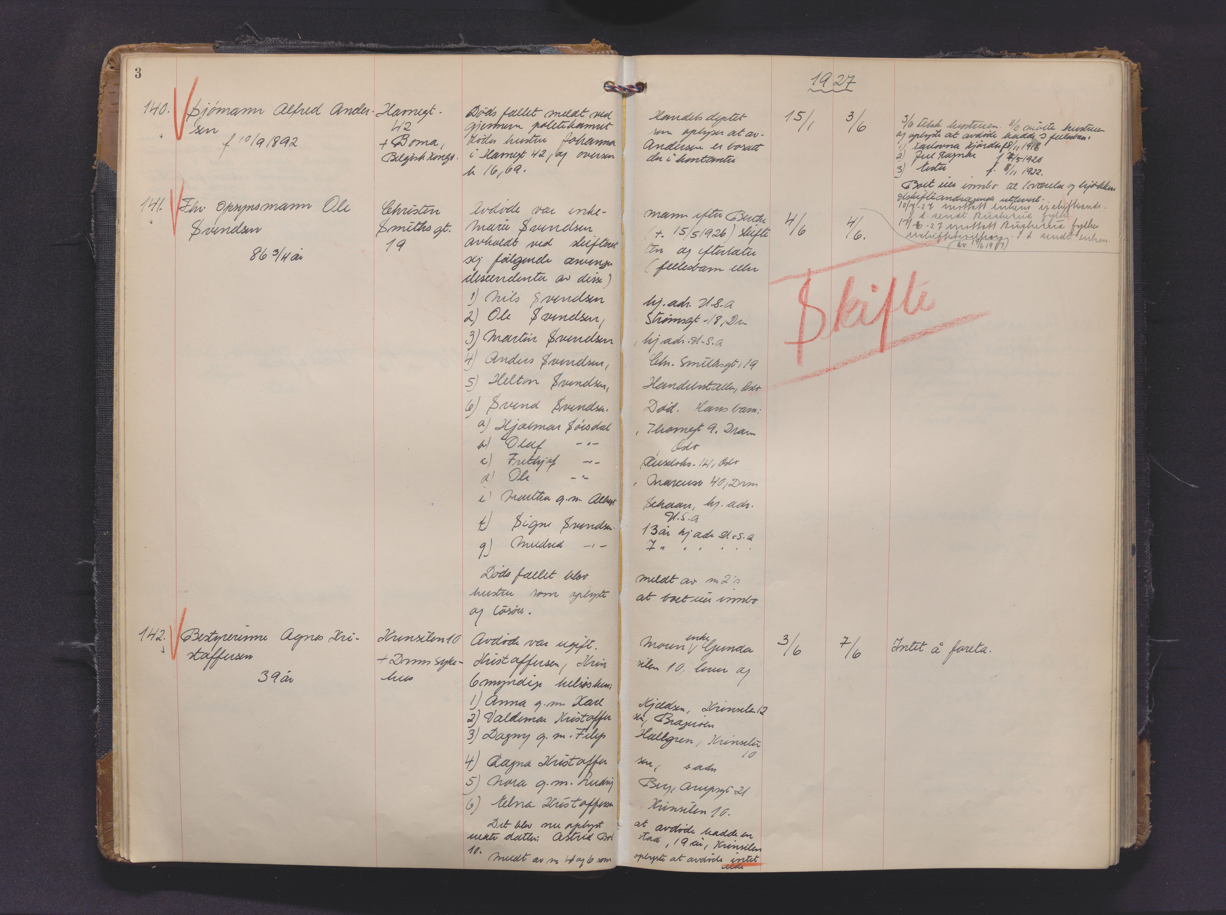 Drammen byfogd, AV/SAKO-A-222/H/Ha/Haa/L0016: Dødsjournal., 1927-1930, p. 3