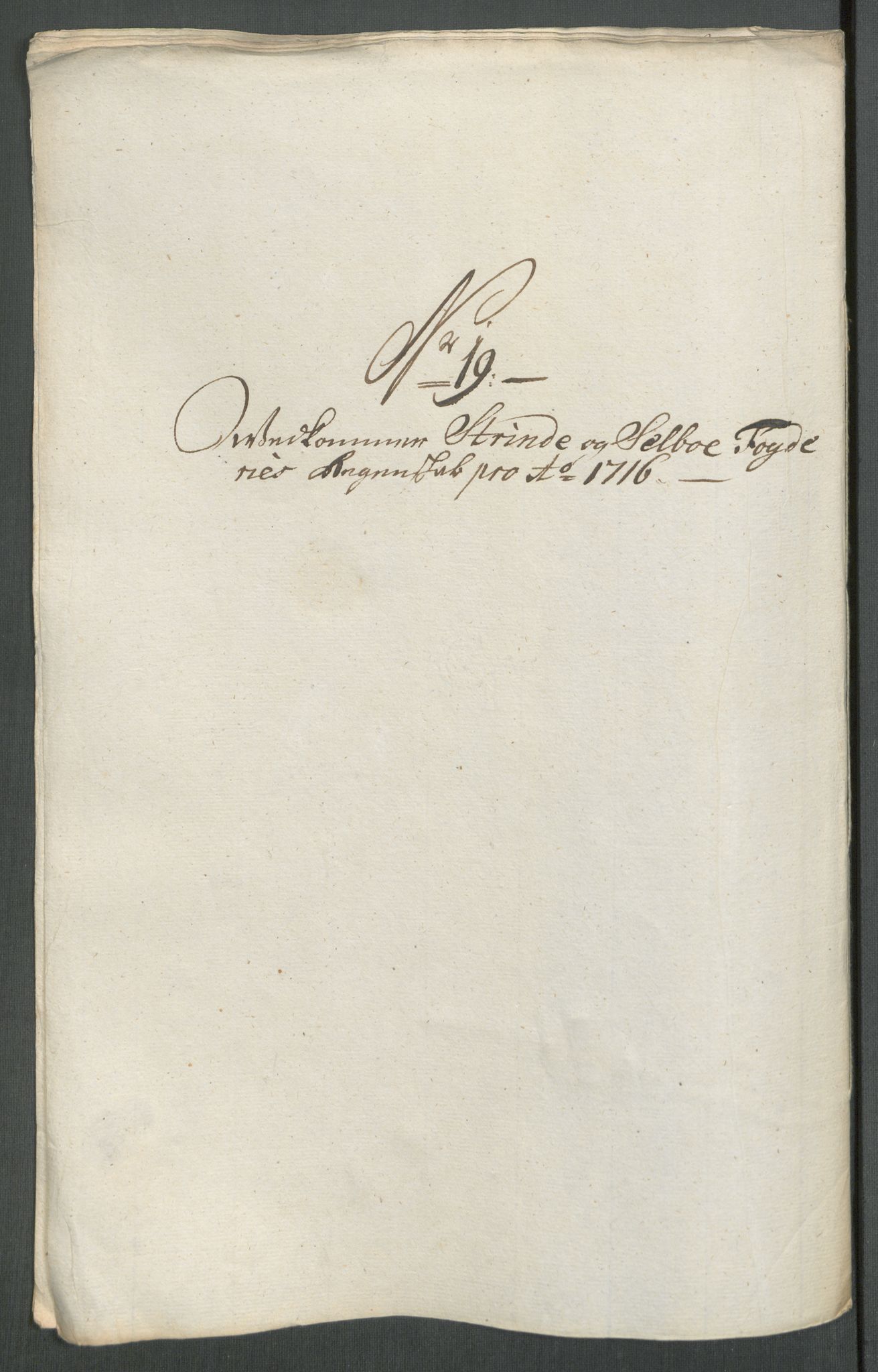 Rentekammeret inntil 1814, Reviderte regnskaper, Fogderegnskap, AV/RA-EA-4092/R61/L4115: Fogderegnskap Strinda og Selbu, 1715-1716, p. 415