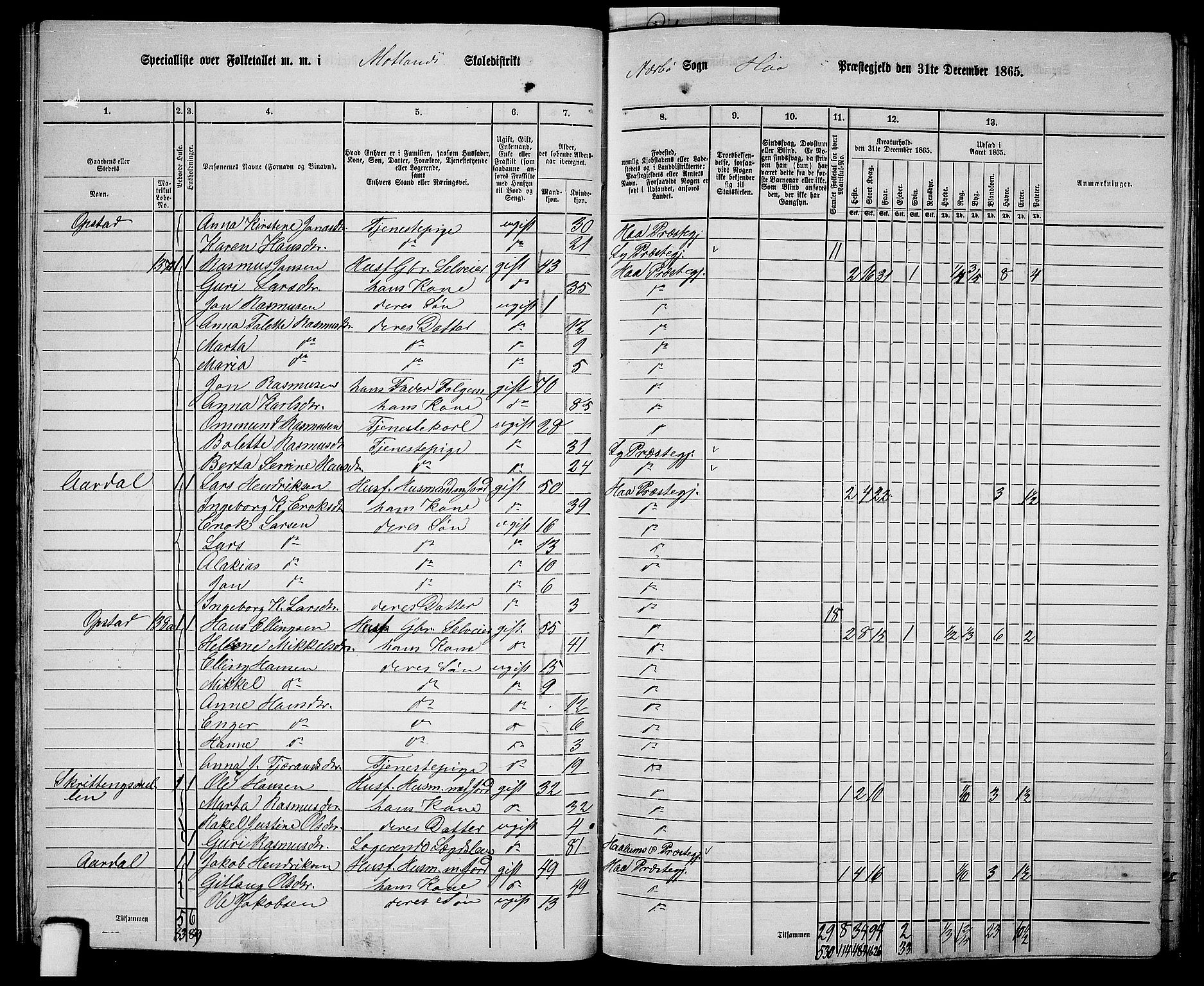 RA, 1865 census for Hå, 1865, p. 53