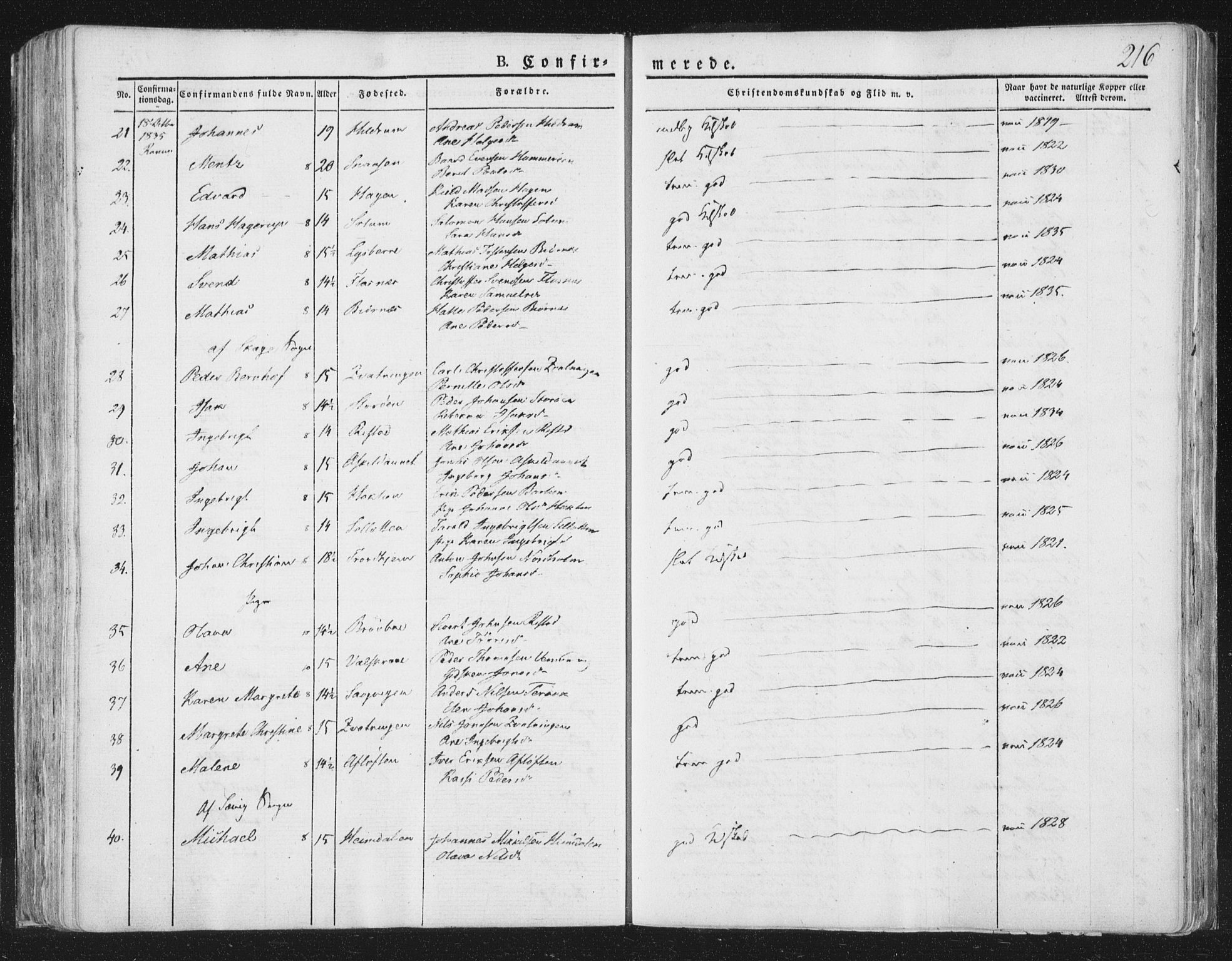 Ministerialprotokoller, klokkerbøker og fødselsregistre - Nord-Trøndelag, AV/SAT-A-1458/764/L0551: Parish register (official) no. 764A07a, 1824-1864, p. 216