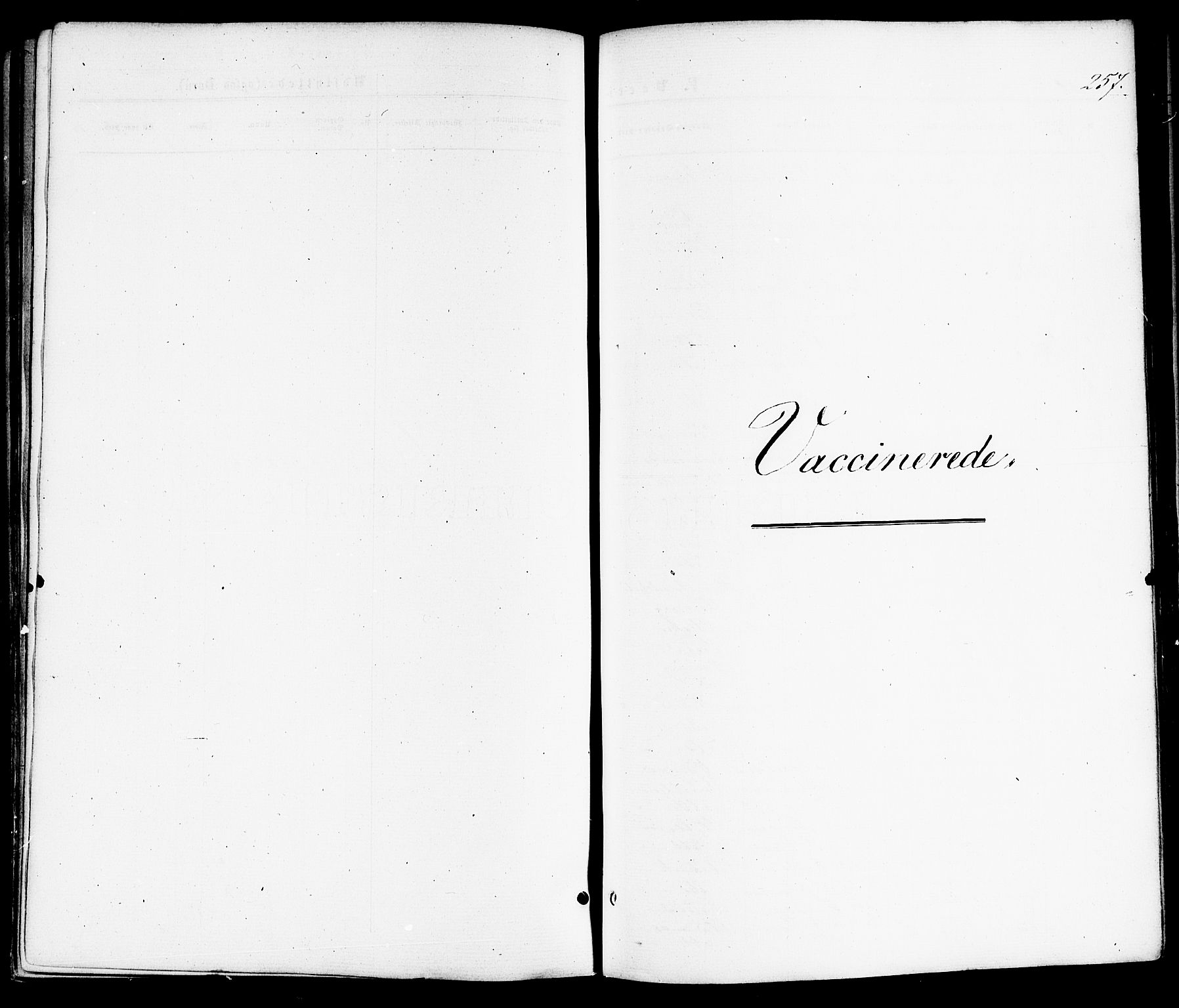 Ministerialprotokoller, klokkerbøker og fødselsregistre - Nordland, SAT/A-1459/859/L0845: Parish register (official) no. 859A05, 1863-1877, p. 257
