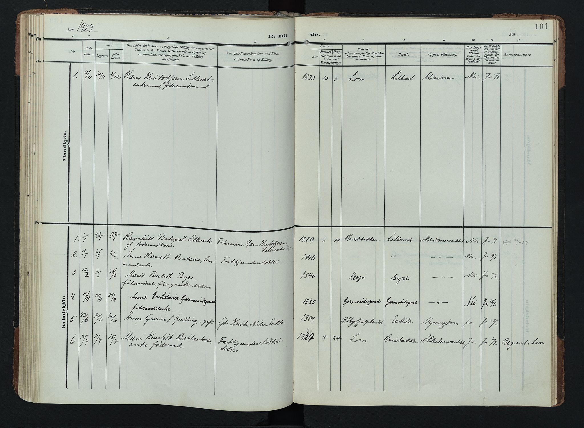 Lom prestekontor, AV/SAH-PREST-070/K/L0011: Parish register (official) no. 11, 1904-1928, p. 101