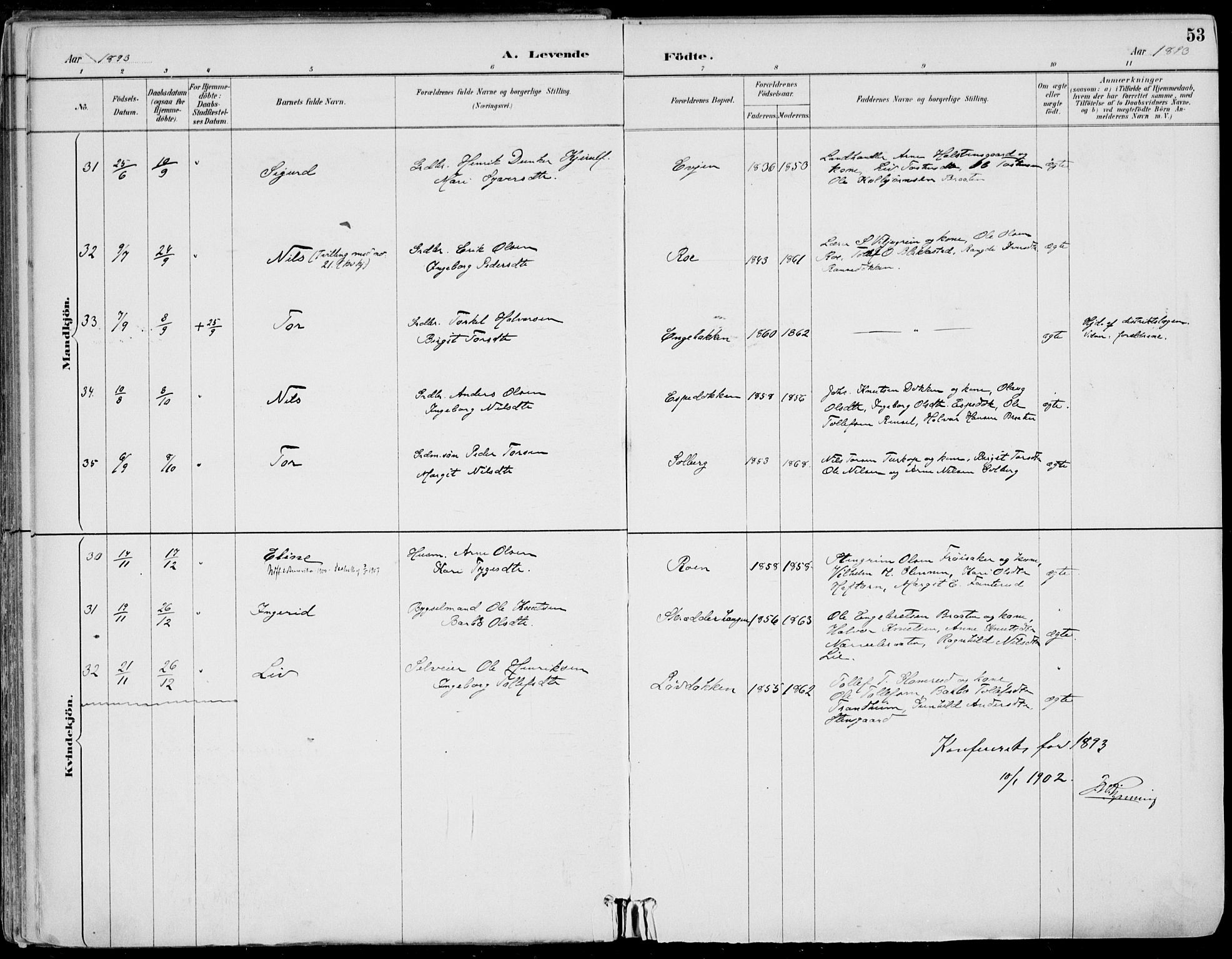 Gol kirkebøker, AV/SAKO-A-226/F/Fa/L0005: Parish register (official) no. I 5, 1887-1900, p. 53