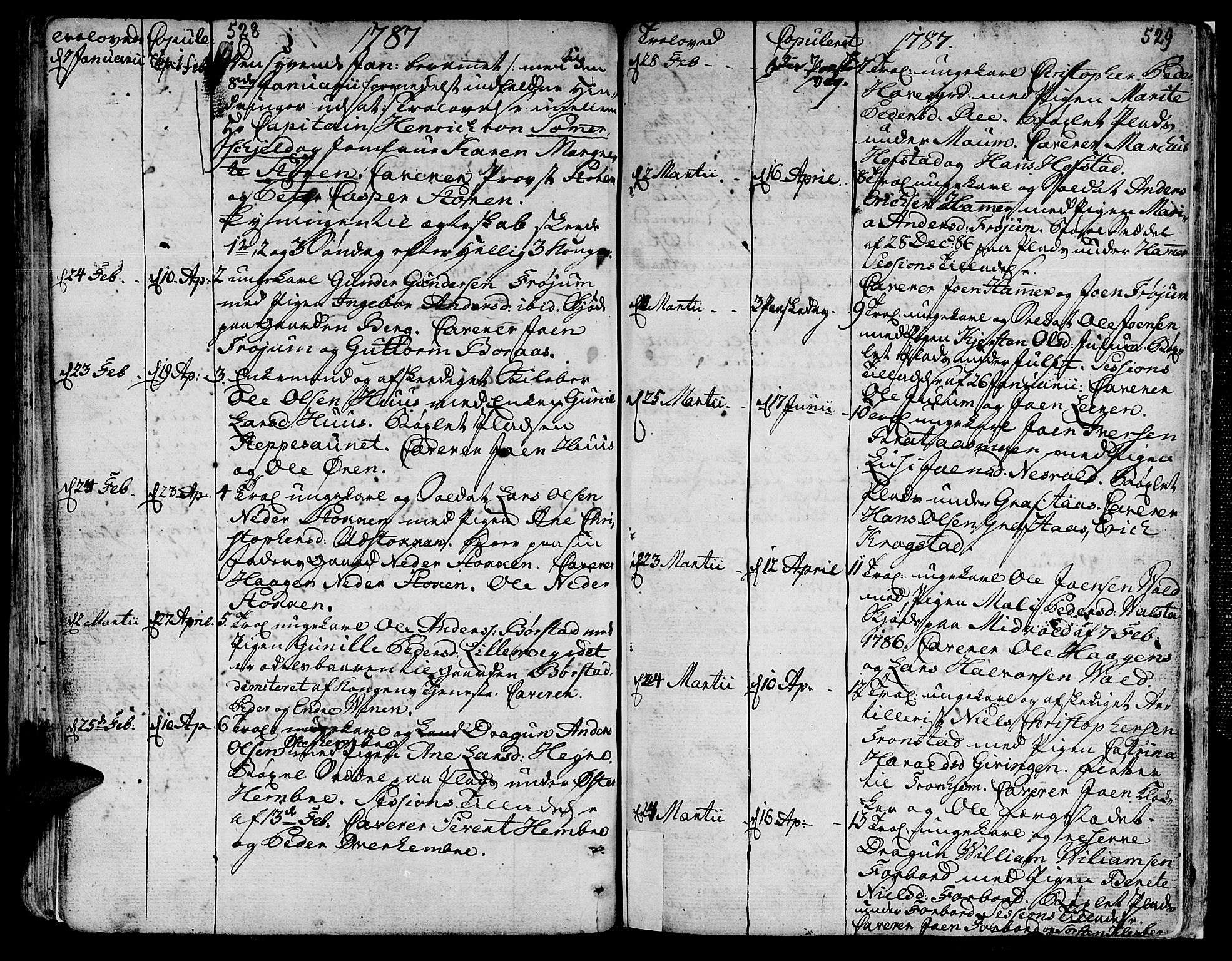 Ministerialprotokoller, klokkerbøker og fødselsregistre - Nord-Trøndelag, AV/SAT-A-1458/709/L0059: Parish register (official) no. 709A06, 1781-1797, p. 528-529