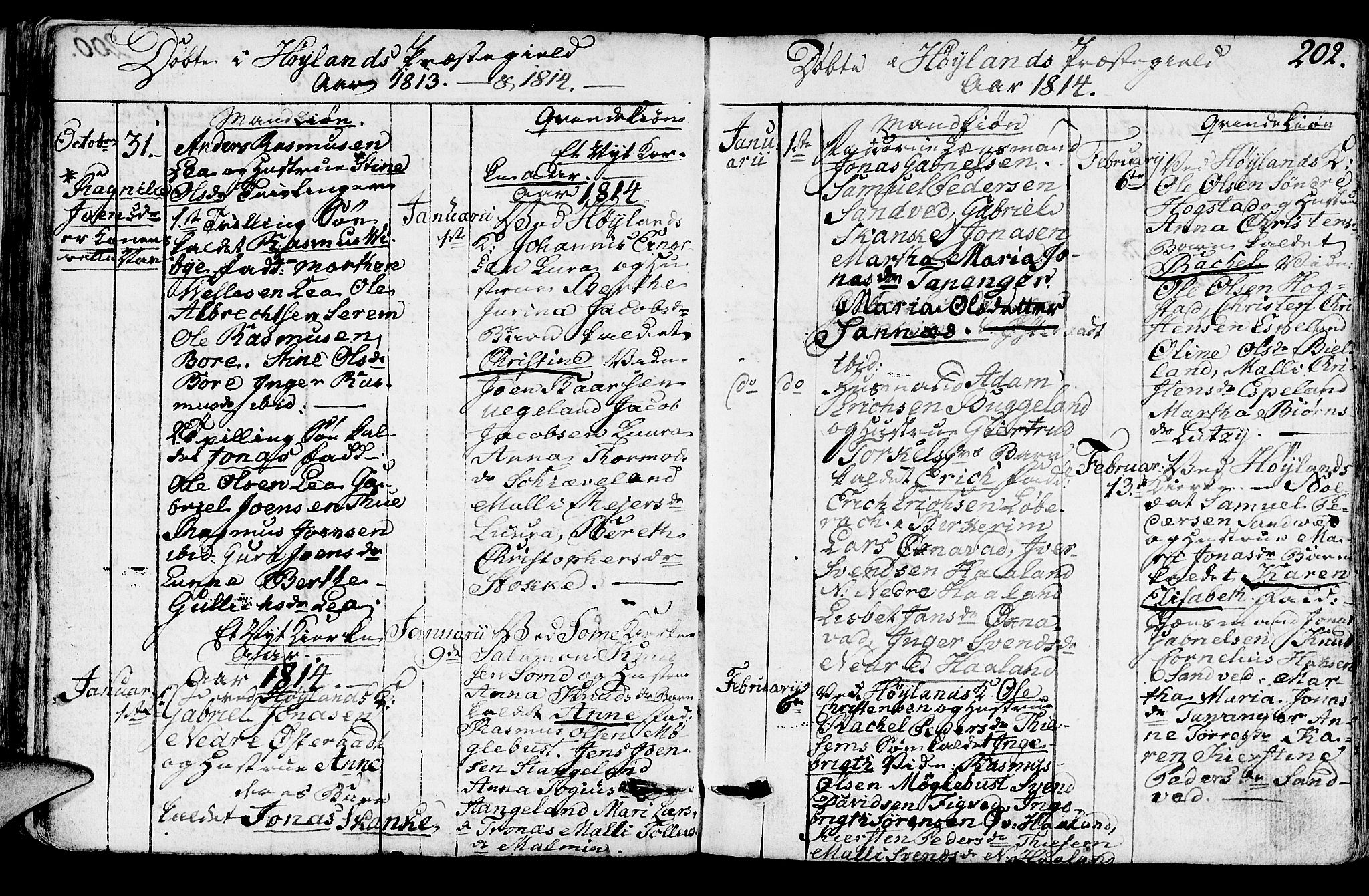 Høyland sokneprestkontor, SAST/A-101799/001/30BA/L0005: Parish register (official) no. A 5, 1804-1815, p. 202