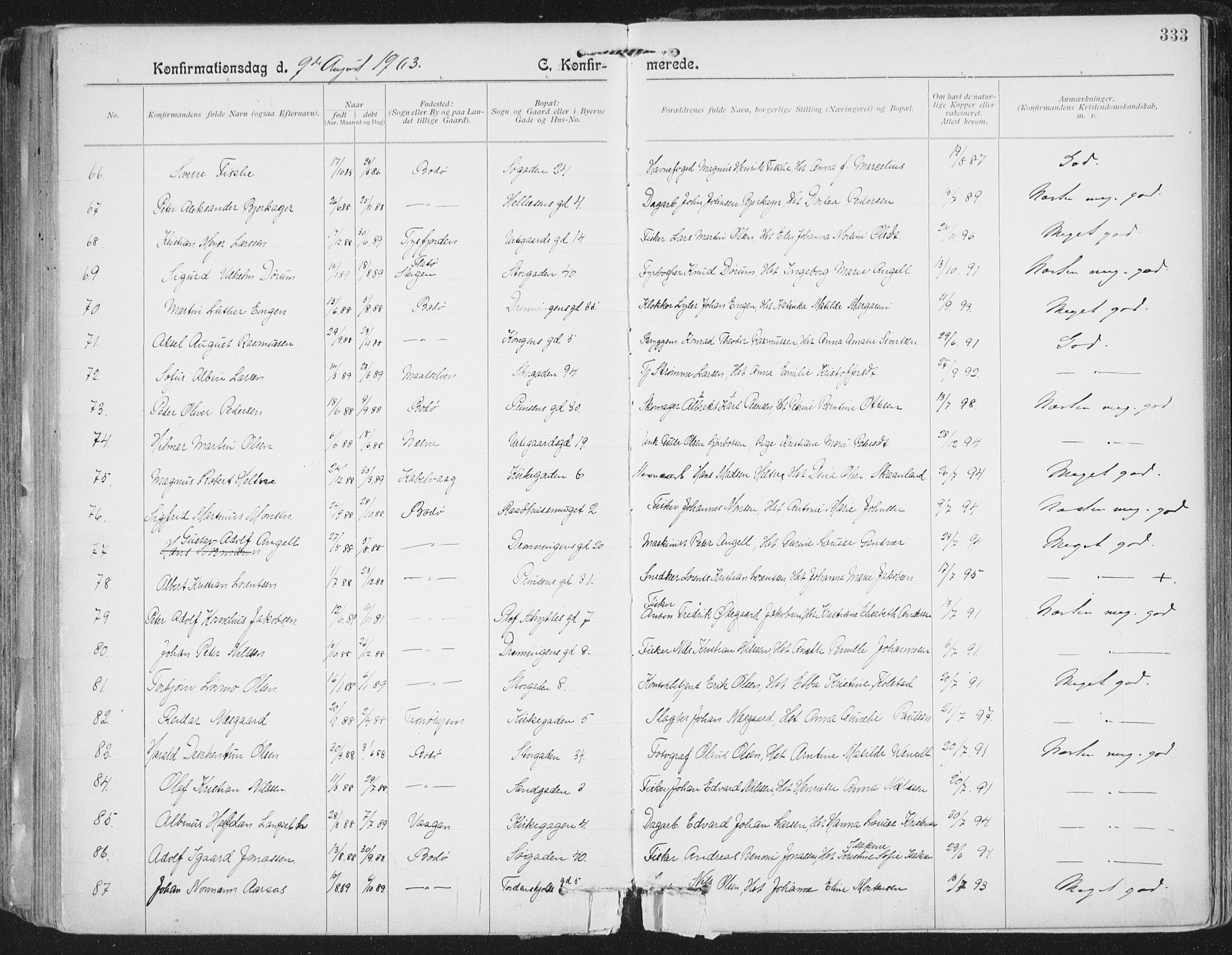 Ministerialprotokoller, klokkerbøker og fødselsregistre - Nordland, AV/SAT-A-1459/801/L0011: Parish register (official) no. 801A11, 1900-1916, p. 333