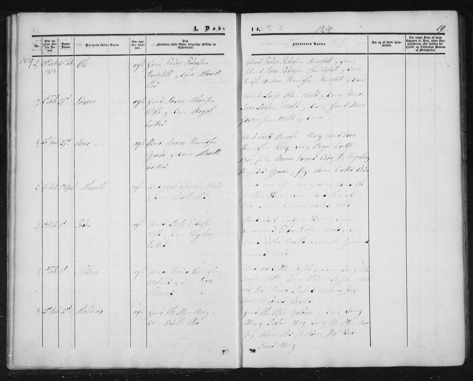 Ministerialprotokoller, klokkerbøker og fødselsregistre - Møre og Romsdal, AV/SAT-A-1454/543/L0562: Parish register (official) no. 543A02, 1854-1884, p. 19