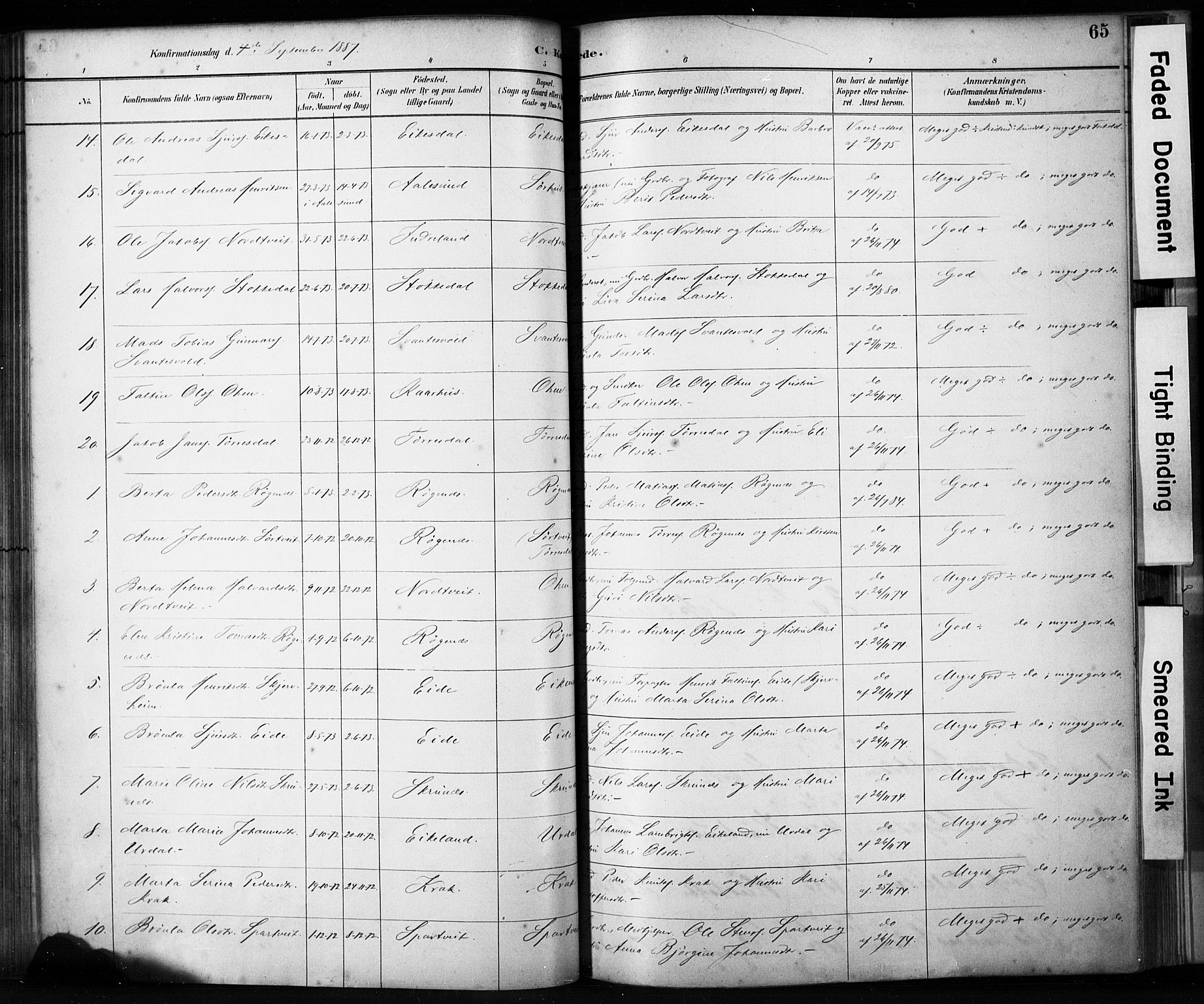 Skjold sokneprestkontor, AV/SAST-A-101847/H/Ha/Haa/L0009: Parish register (official) no. A 9, 1882-1898, p. 65