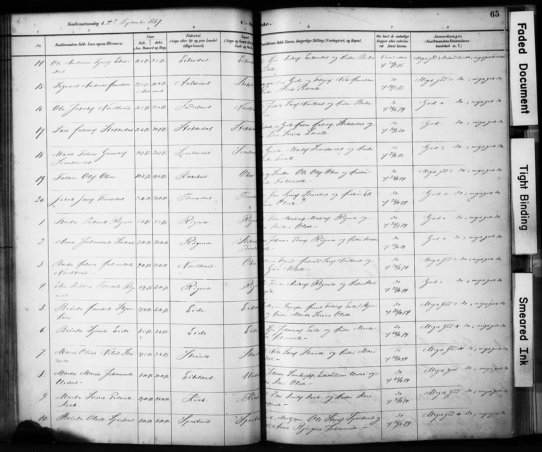 Skjold sokneprestkontor, AV/SAST-A-101847/H/Ha/Haa/L0009: Parish register (official) no. A 9, 1882-1898, p. 65