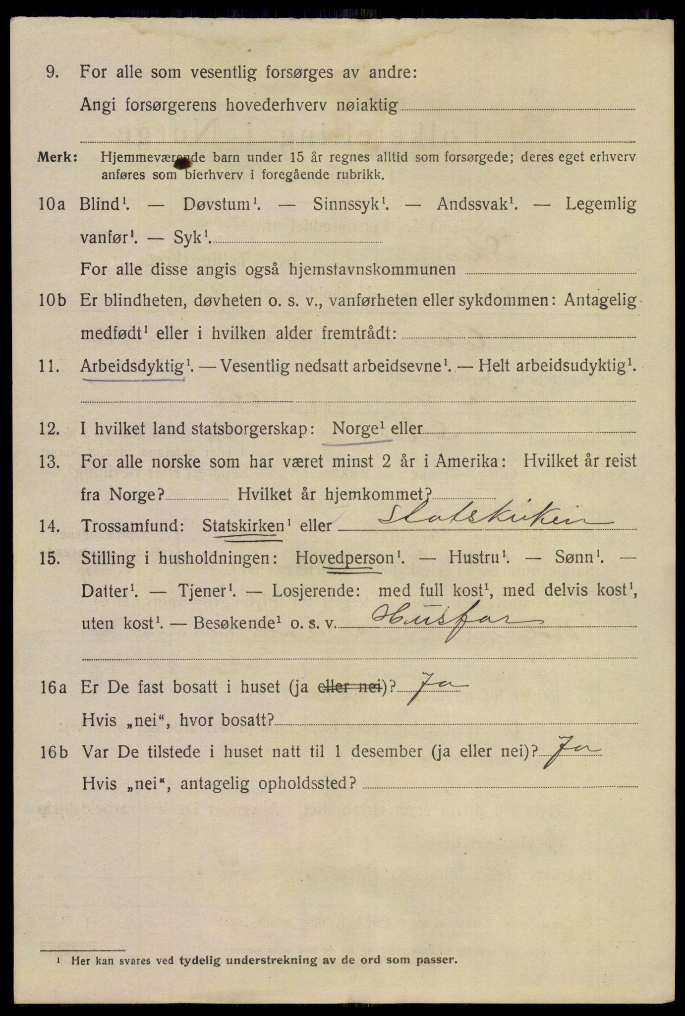 SAKO, 1920 census for Skien, 1920, p. 19493