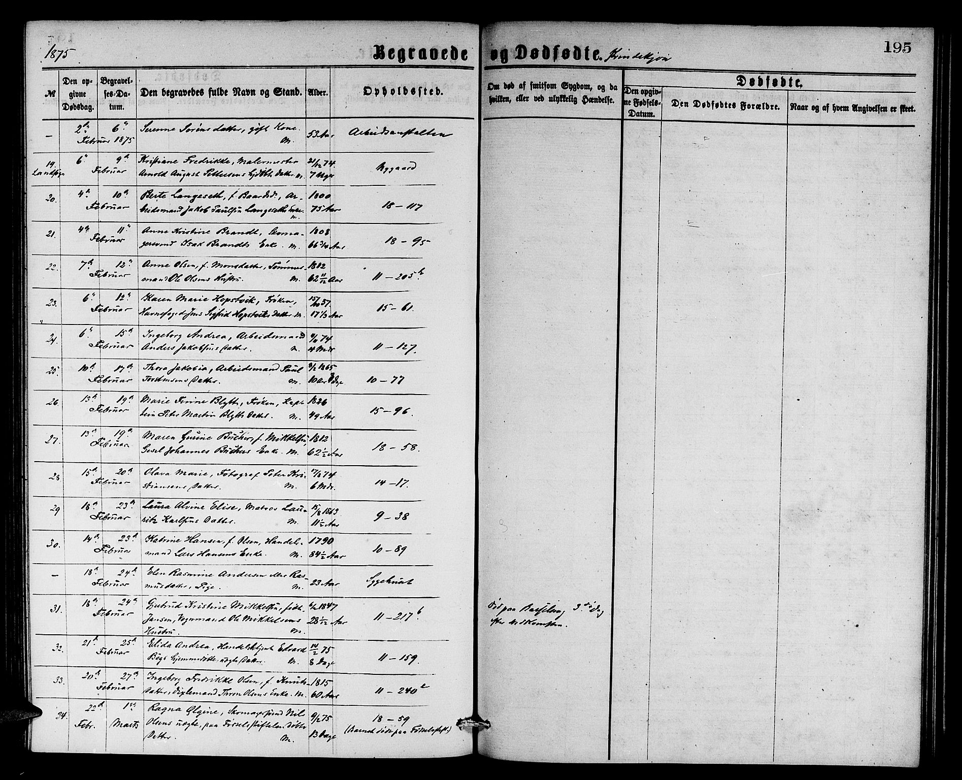 Domkirken sokneprestembete, AV/SAB-A-74801/H/Hab/L0040: Parish register (copy) no. E 4, 1868-1877, p. 195