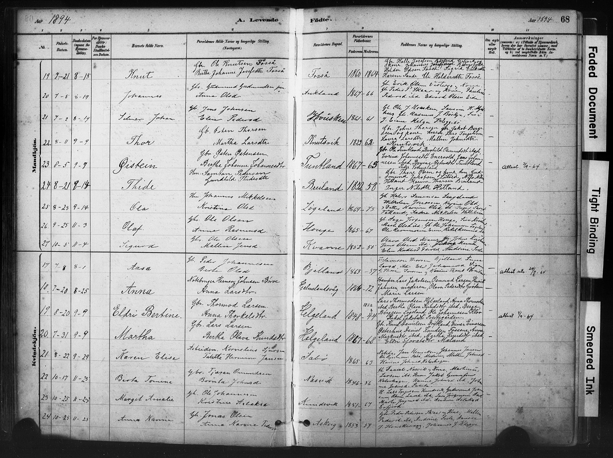 Hjelmeland sokneprestkontor, AV/SAST-A-101843/01/IV/L0014: Parish register (official) no. A 14, 1879-1900, p. 68