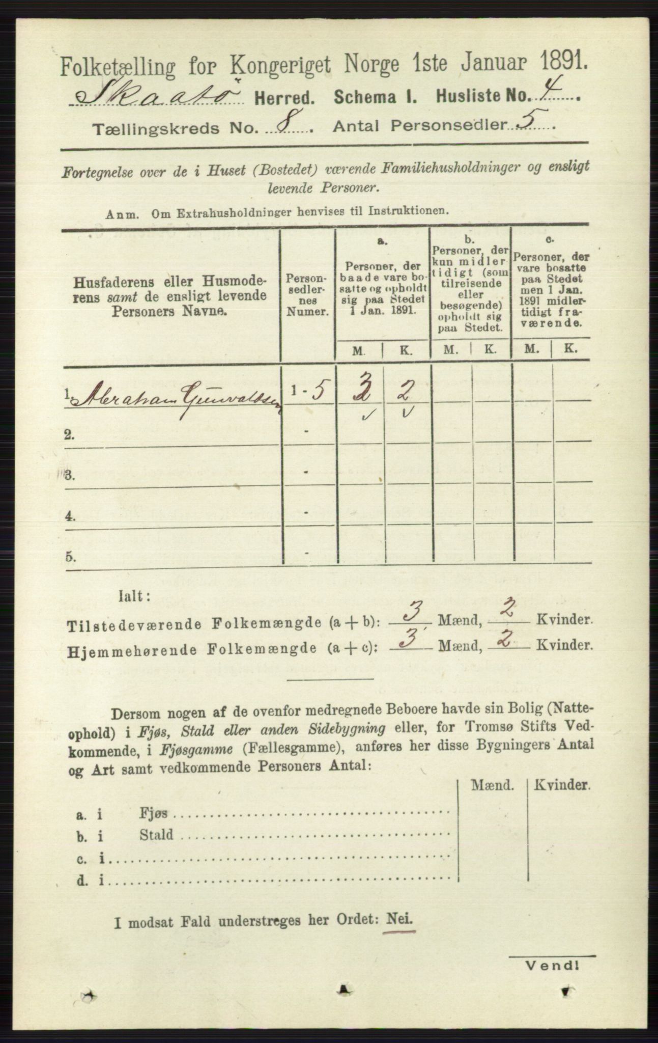 RA, 1891 census for 0815 Skåtøy, 1891, p. 3475