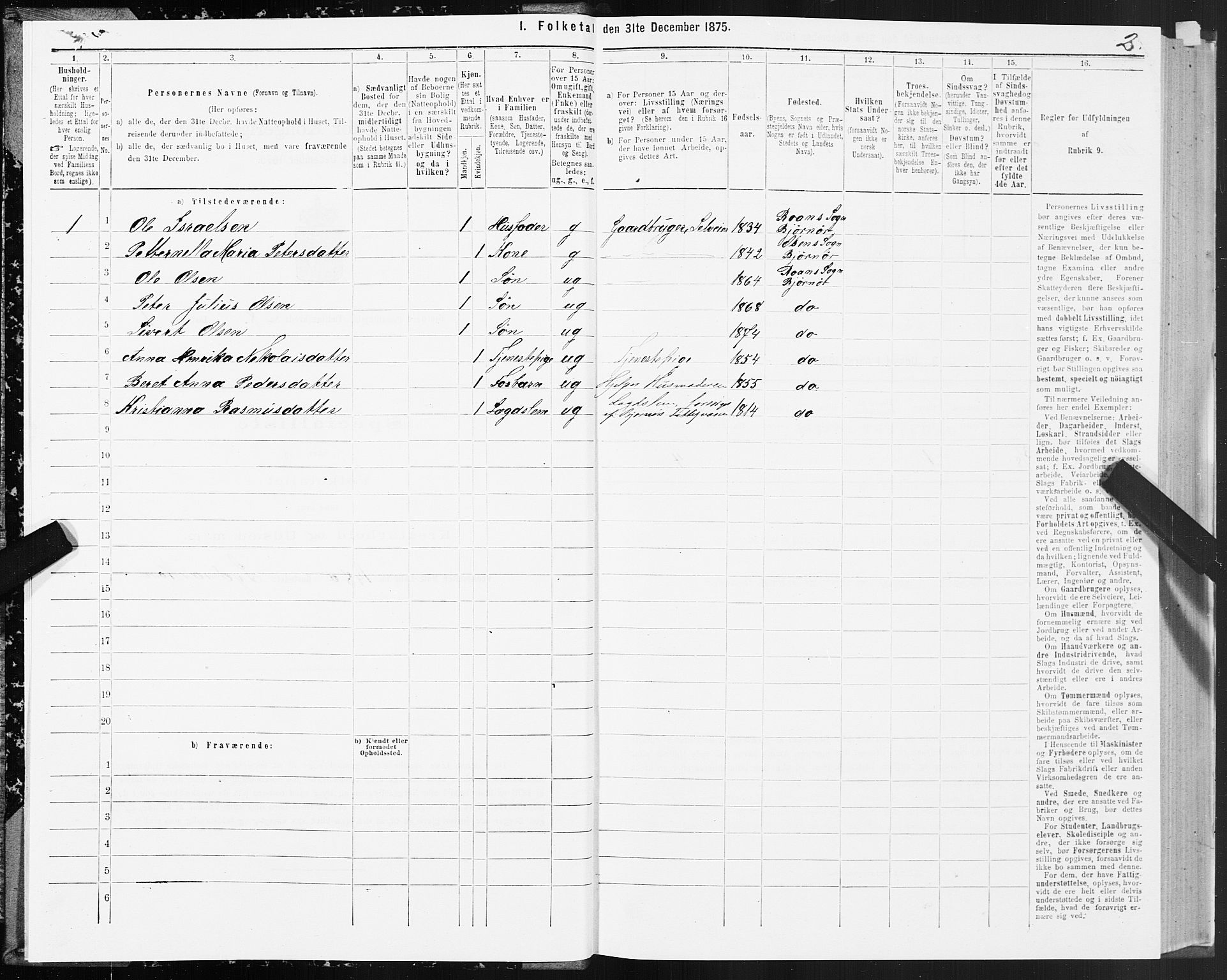 SAT, 1875 census for 1632P Bjørnør, 1875, p. 4002