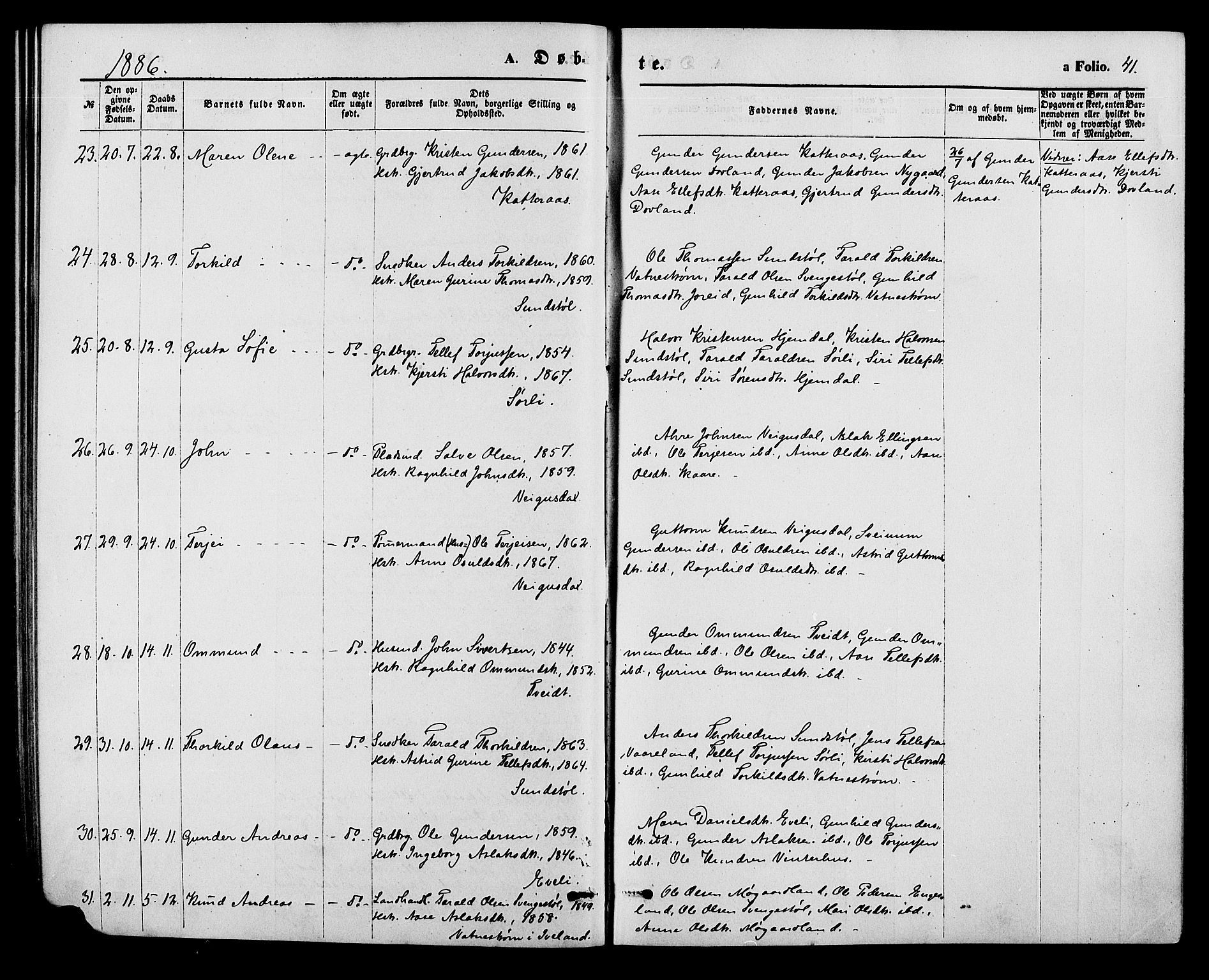 Herefoss sokneprestkontor, AV/SAK-1111-0019/F/Fa/Fab/L0003: Parish register (official) no. A 3, 1875-1886, p. 41