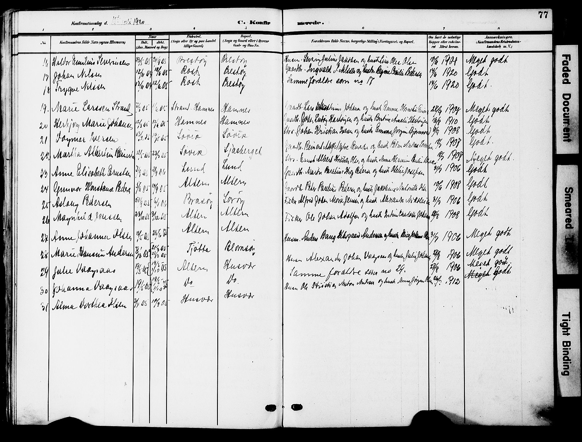 Ministerialprotokoller, klokkerbøker og fødselsregistre - Nordland, AV/SAT-A-1459/830/L0464: Parish register (copy) no. 830C06, 1906-1925, p. 77