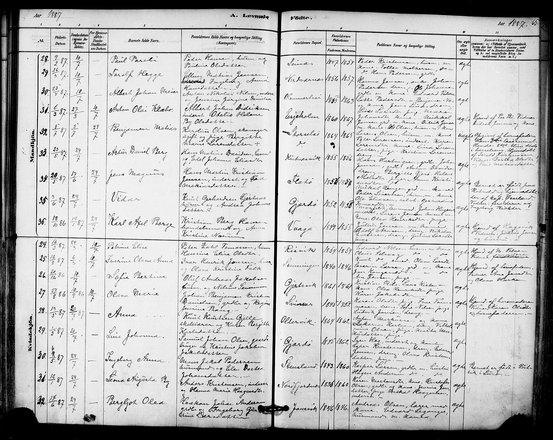 Ministerialprotokoller, klokkerbøker og fødselsregistre - Nordland, AV/SAT-A-1459/841/L0609: Parish register (official) no. 841A12, 1878-1901, p. 65