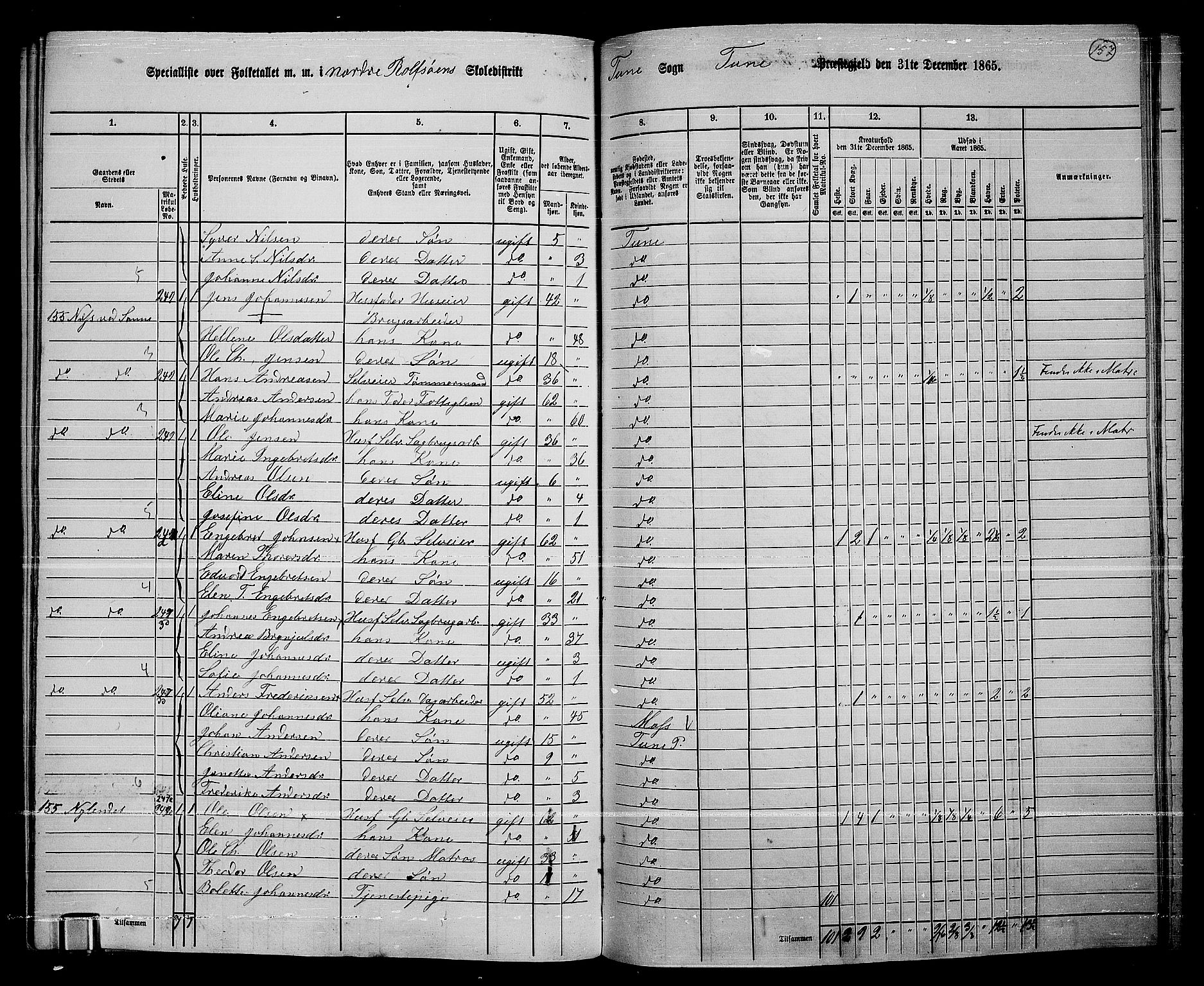 RA, 1865 census for Tune, 1865, p. 236