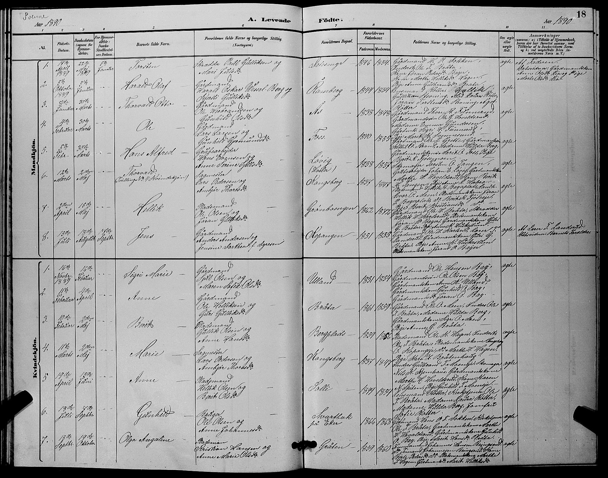 Flesberg kirkebøker, SAKO/A-18/G/Ga/L0004: Parish register (copy) no. I 4 /2, 1890-1898, p. 18
