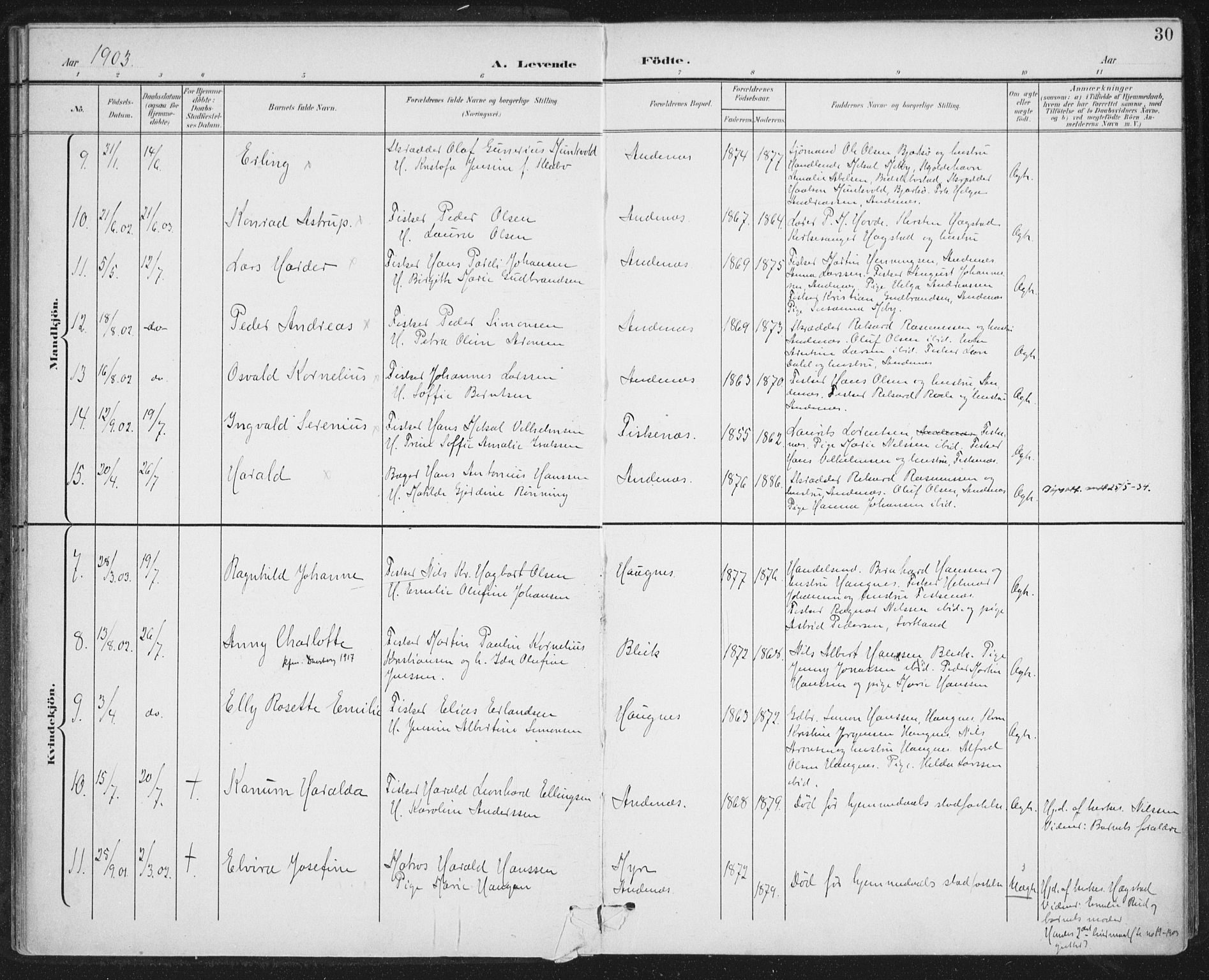 Ministerialprotokoller, klokkerbøker og fødselsregistre - Nordland, AV/SAT-A-1459/899/L1437: Parish register (official) no. 899A05, 1897-1908, p. 30