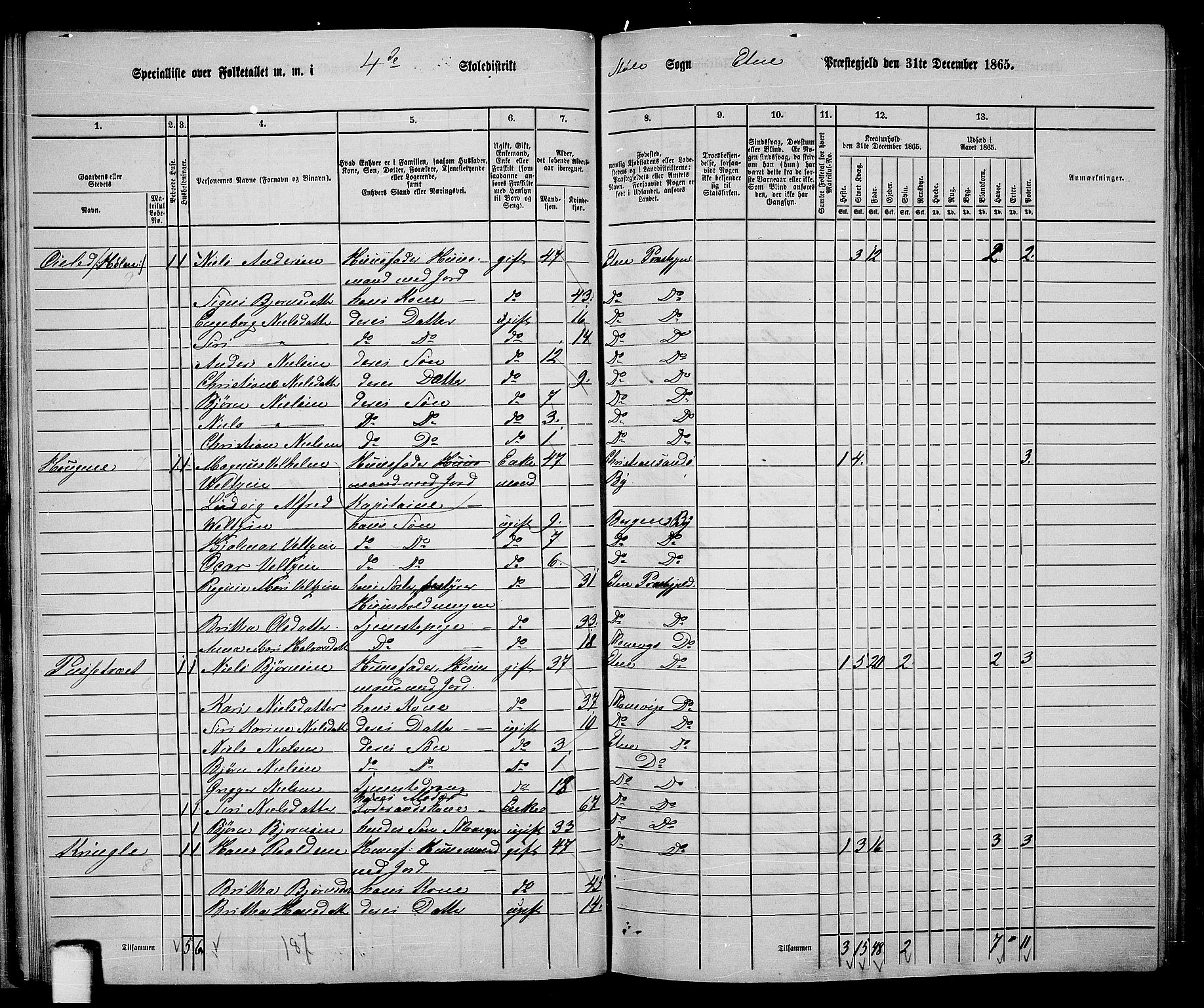 RA, 1865 census for Etne, 1865, p. 34