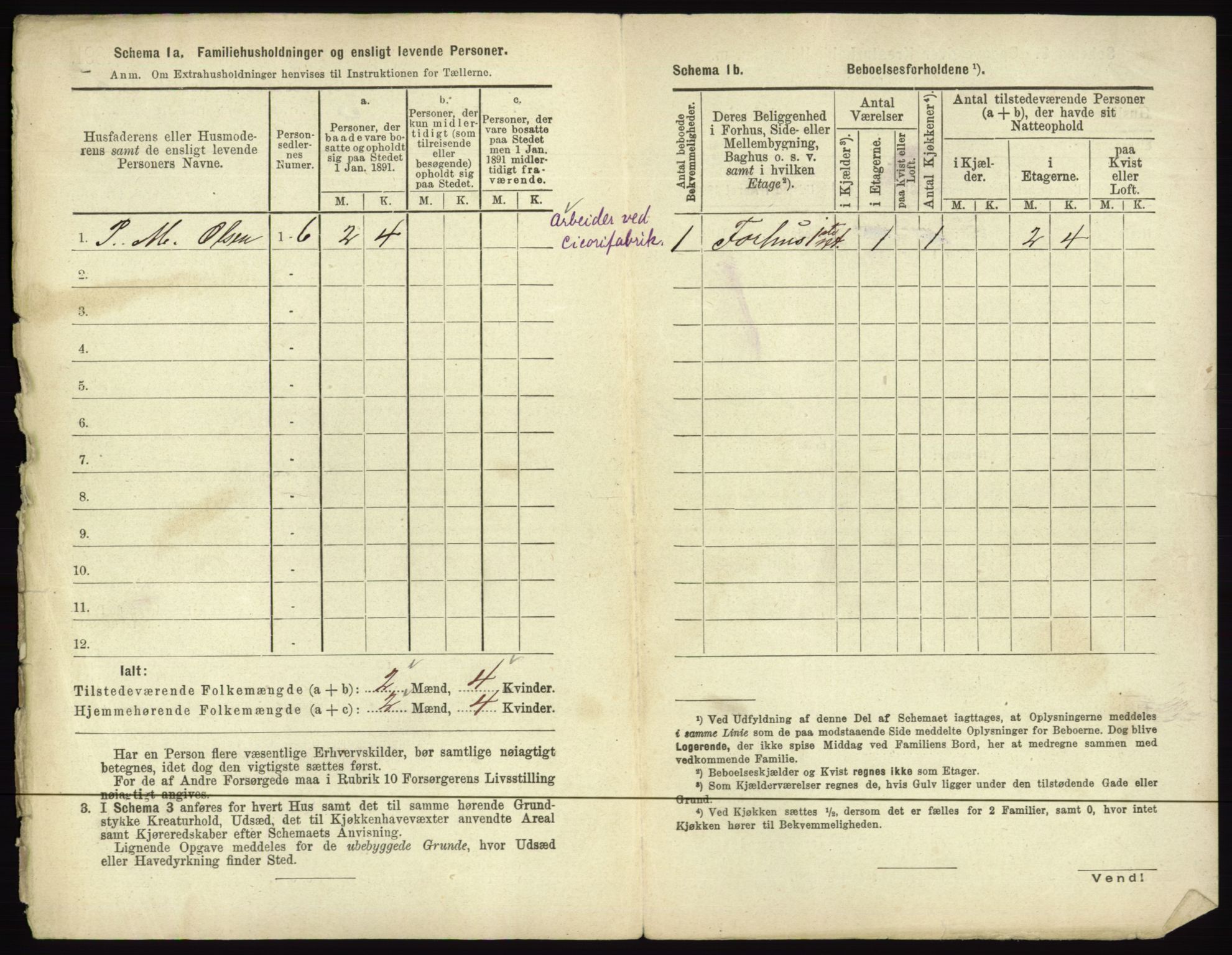 RA, 1891 census for 0602 Drammen, 1891, p. 306