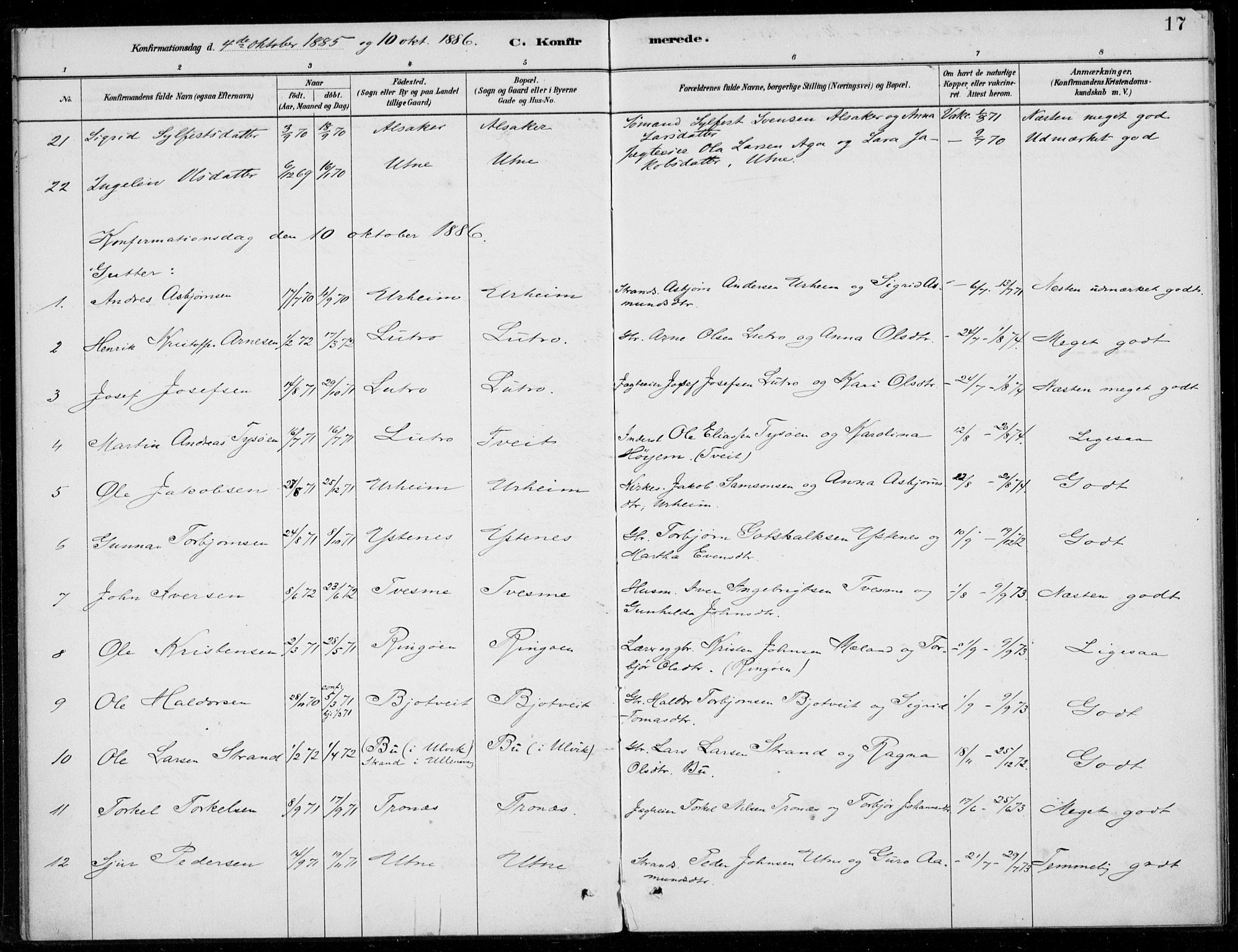 Ullensvang sokneprestembete, SAB/A-78701/H/Haa: Parish register (official) no. E  2, 1880-1914, p. 17