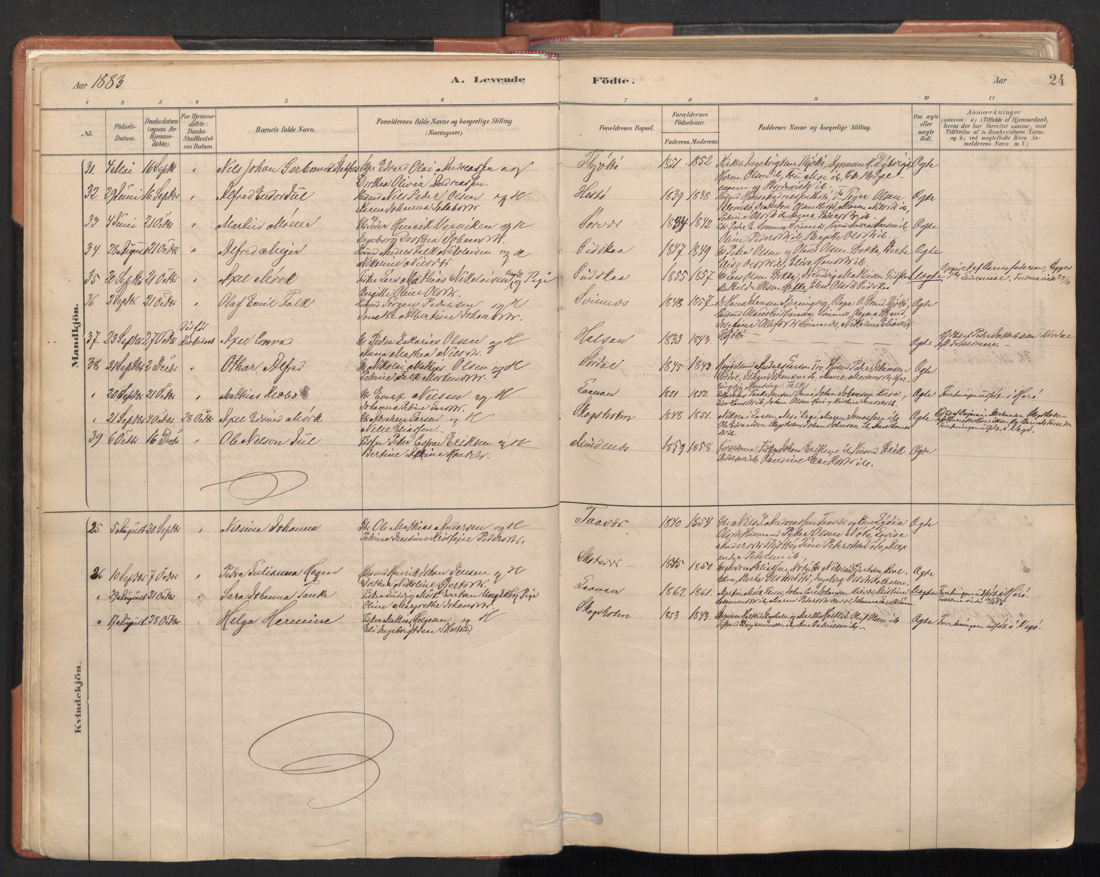 Ministerialprotokoller, klokkerbøker og fødselsregistre - Nordland, SAT/A-1459/817/L0264: Parish register (official) no. 817A04, 1878-1907, p. 24