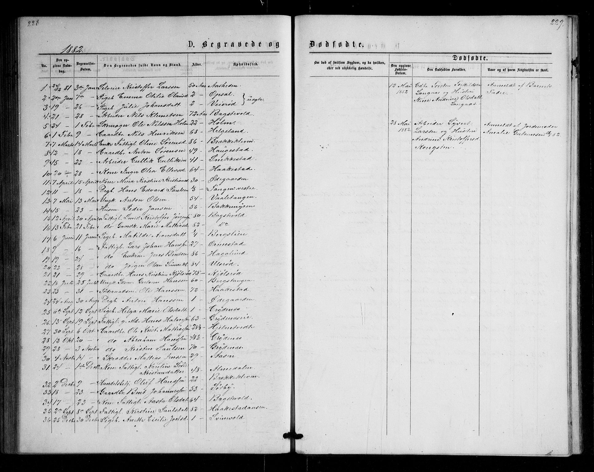 Våle kirkebøker, SAKO/A-334/G/Ga/L0004a: Parish register (copy) no. I 4, 1874-1893, p. 228-229