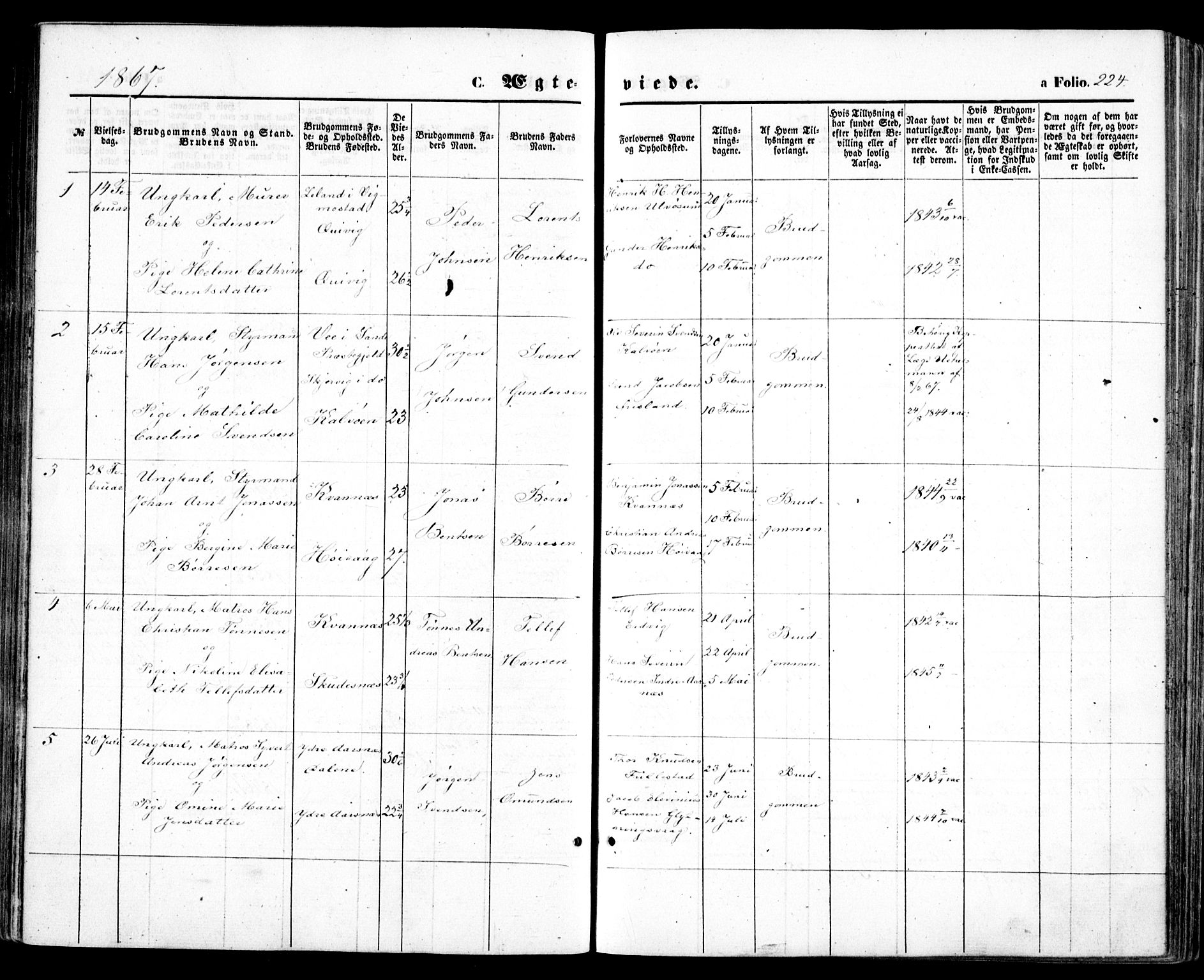 Høvåg sokneprestkontor, SAK/1111-0025/F/Fa/L0004: Parish register (official) no. A 4, 1859-1877, p. 224