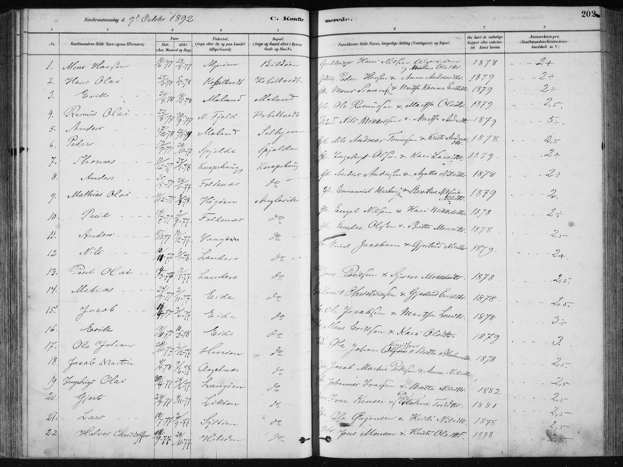 Fjell sokneprestembete, SAB/A-75301/H/Haa: Parish register (official) no. A  8, 1878-1898, p. 202