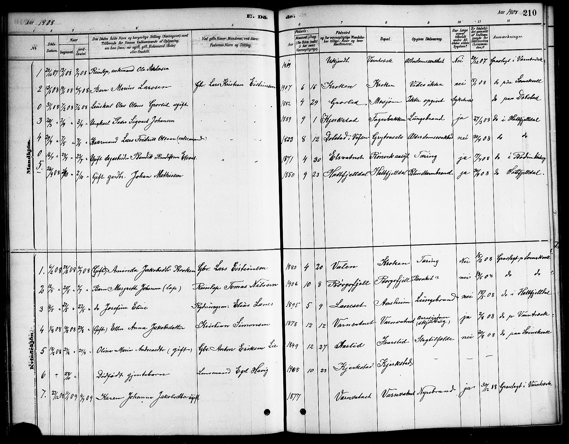 Ministerialprotokoller, klokkerbøker og fødselsregistre - Nordland, SAT/A-1459/823/L0330: Parish register (copy) no. 823C02, 1879-1916, p. 210