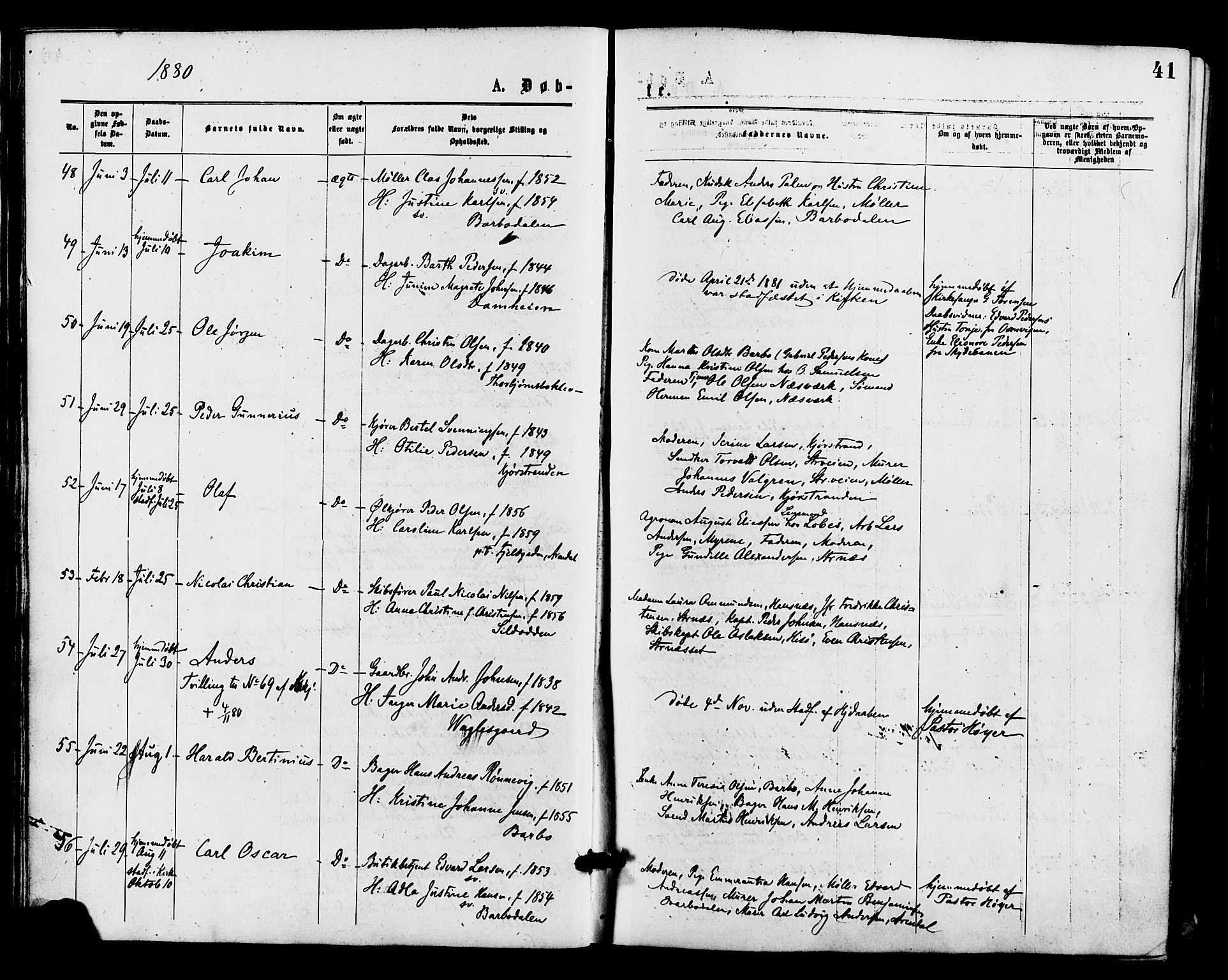 Barbu sokneprestkontor, AV/SAK-1111-0003/F/Fa/L0001: Parish register (official) no. A 1 /1, 1878-1883, p. 41