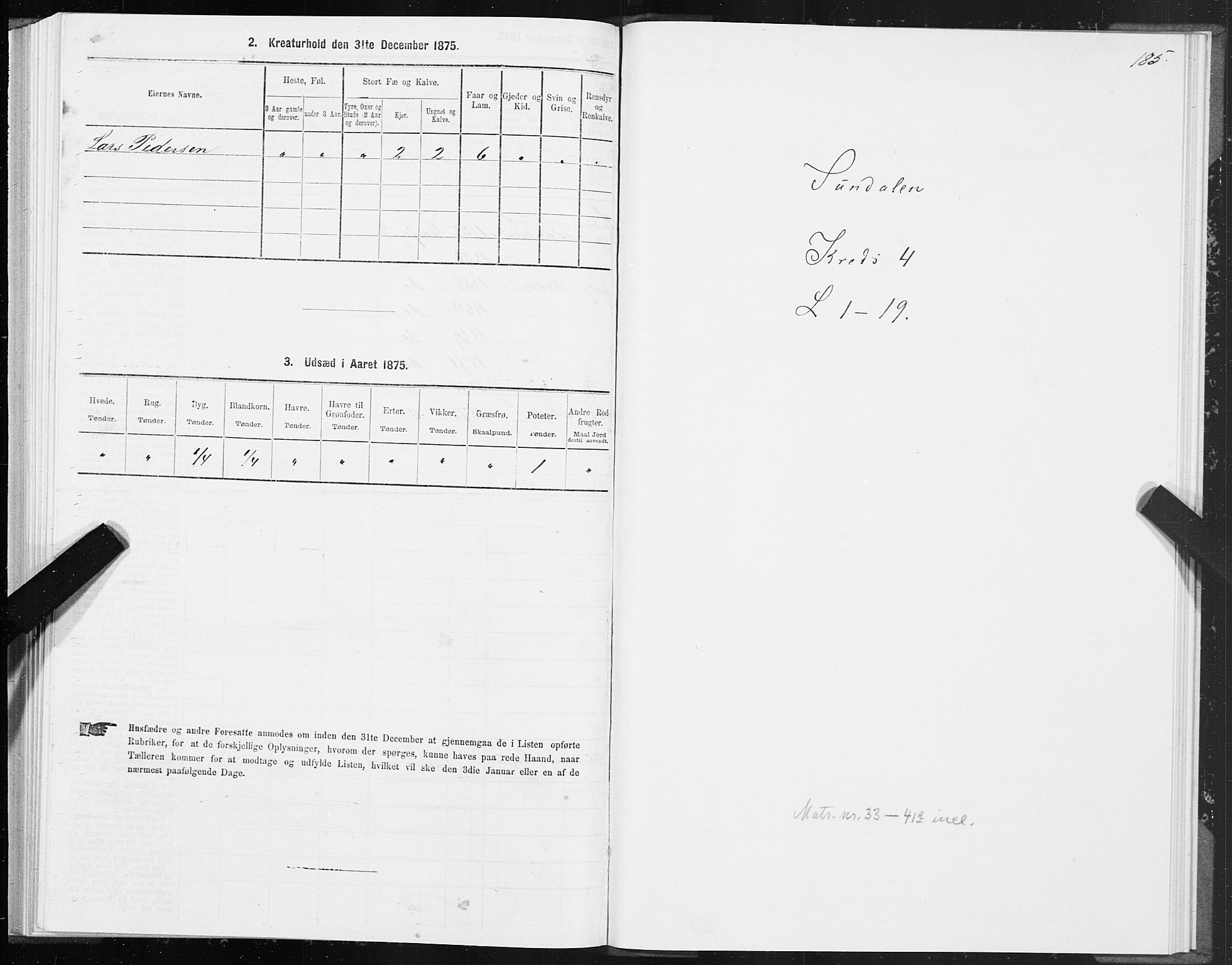 SAT, 1875 census for 1563P Sunndal, 1875, p. 1185