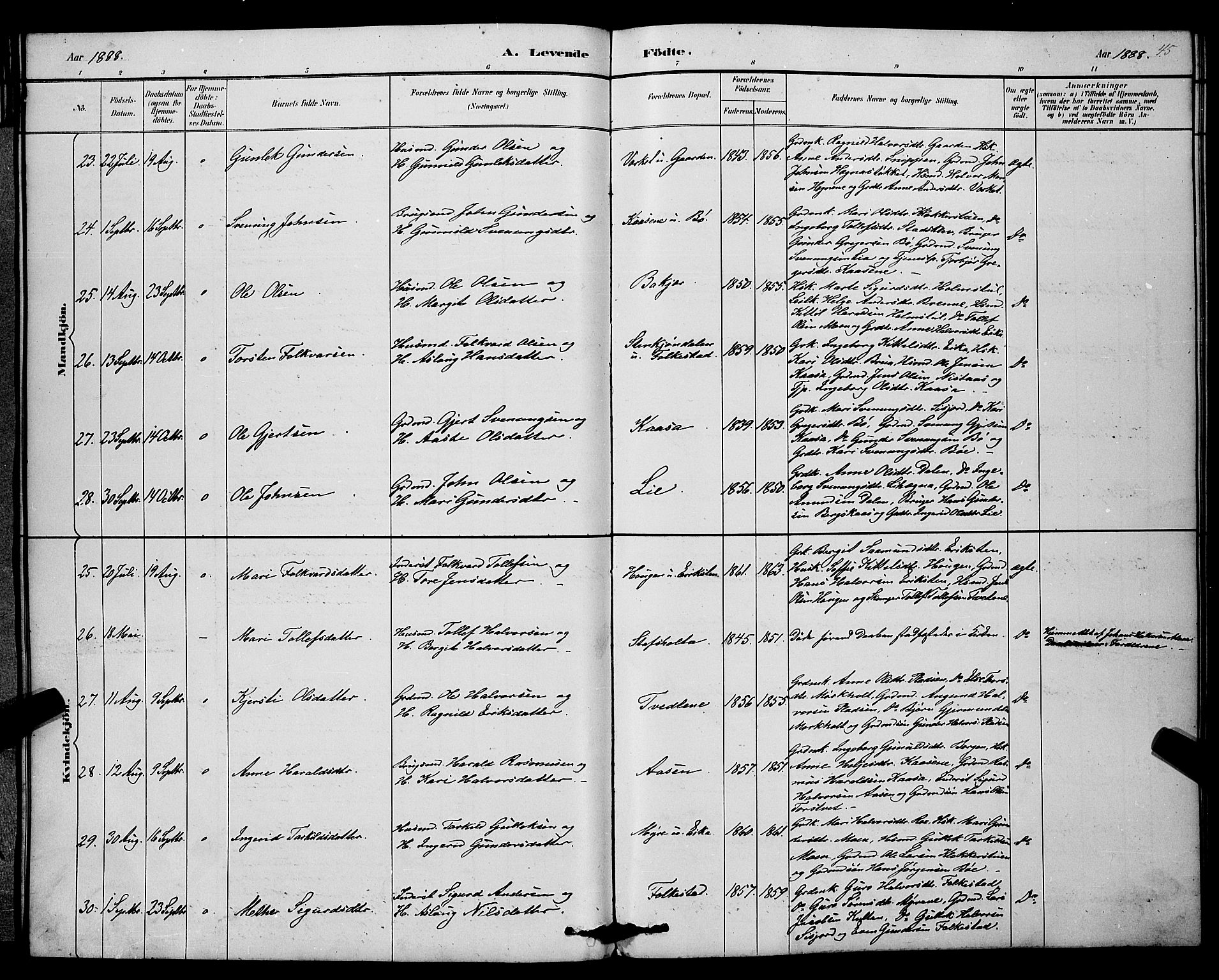 Bø kirkebøker, SAKO/A-257/G/Ga/L0005: Parish register (copy) no. 5, 1883-1897, p. 45