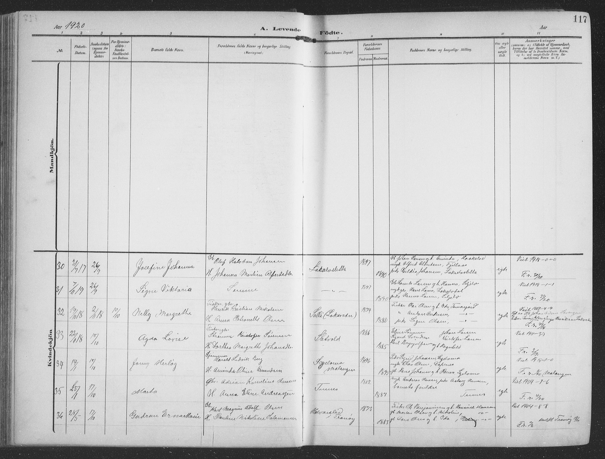 Balsfjord sokneprestembete, AV/SATØ-S-1303/G/Ga/L0009klokker: Parish register (copy) no. 9, 1906-1920, p. 117