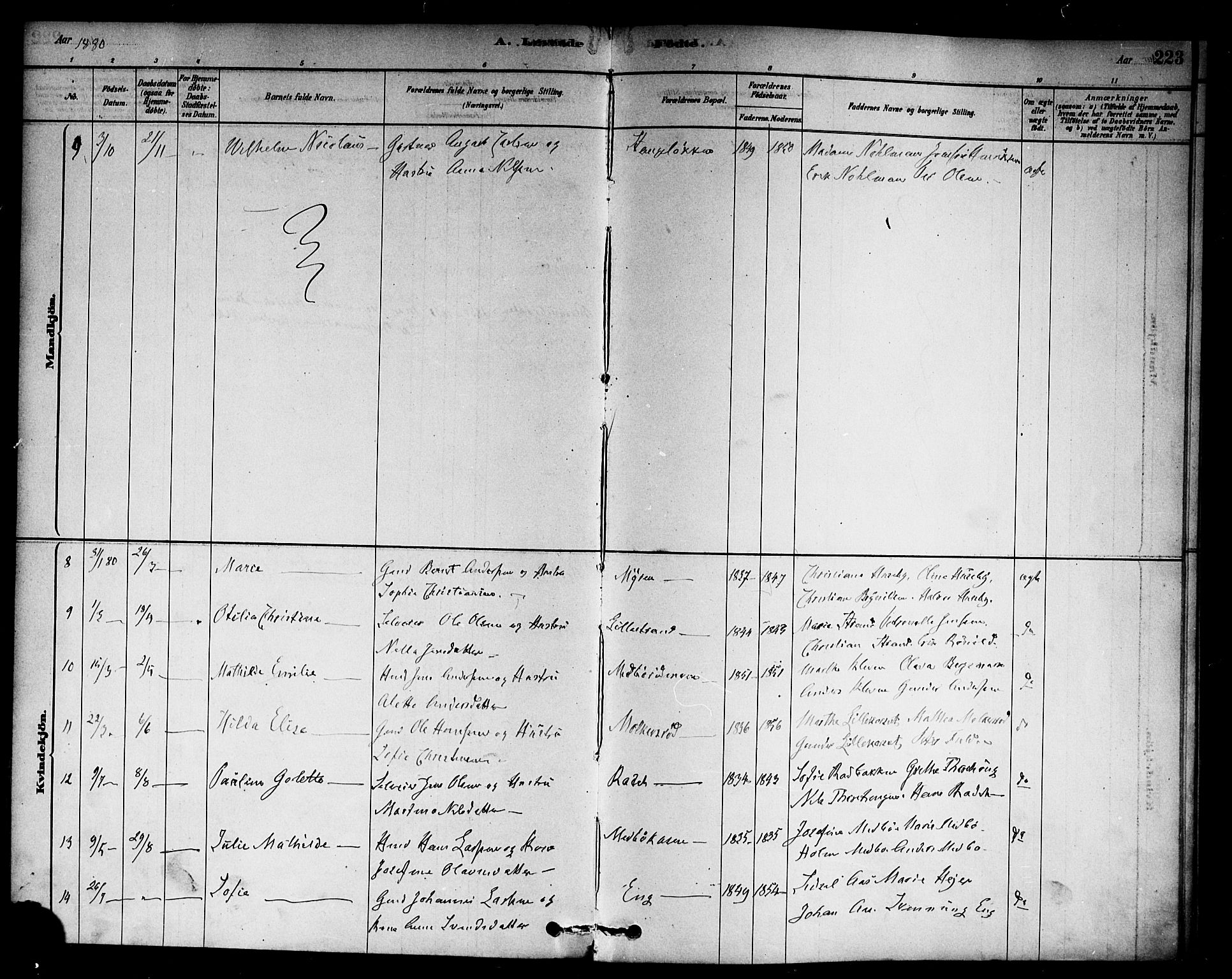 Berg prestekontor Kirkebøker, AV/SAO-A-10902/F/Fc/L0001: Parish register (official) no. III 1, 1878-1887, p. 223