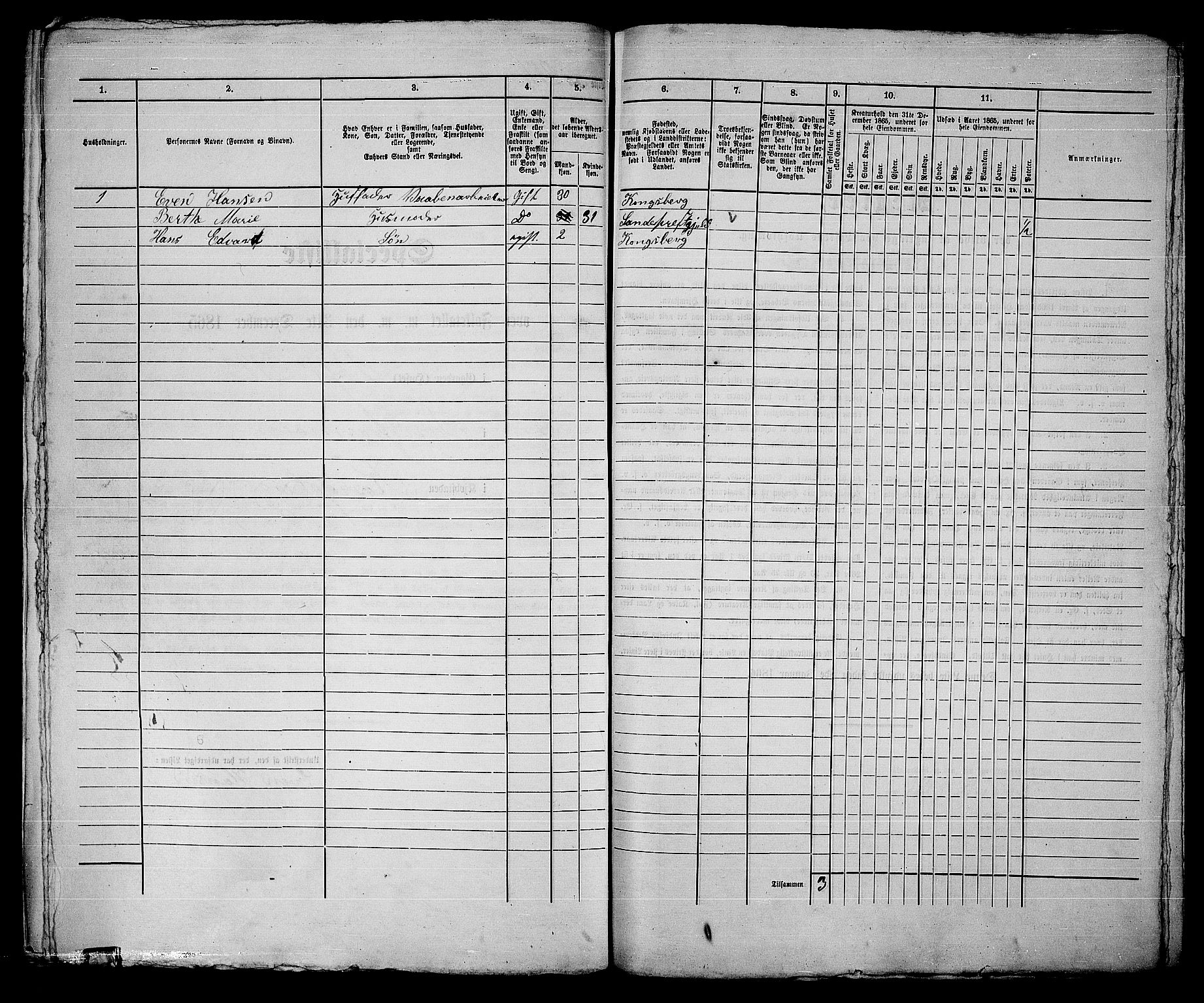 RA, 1865 census for Kongsberg/Kongsberg, 1865, p. 447