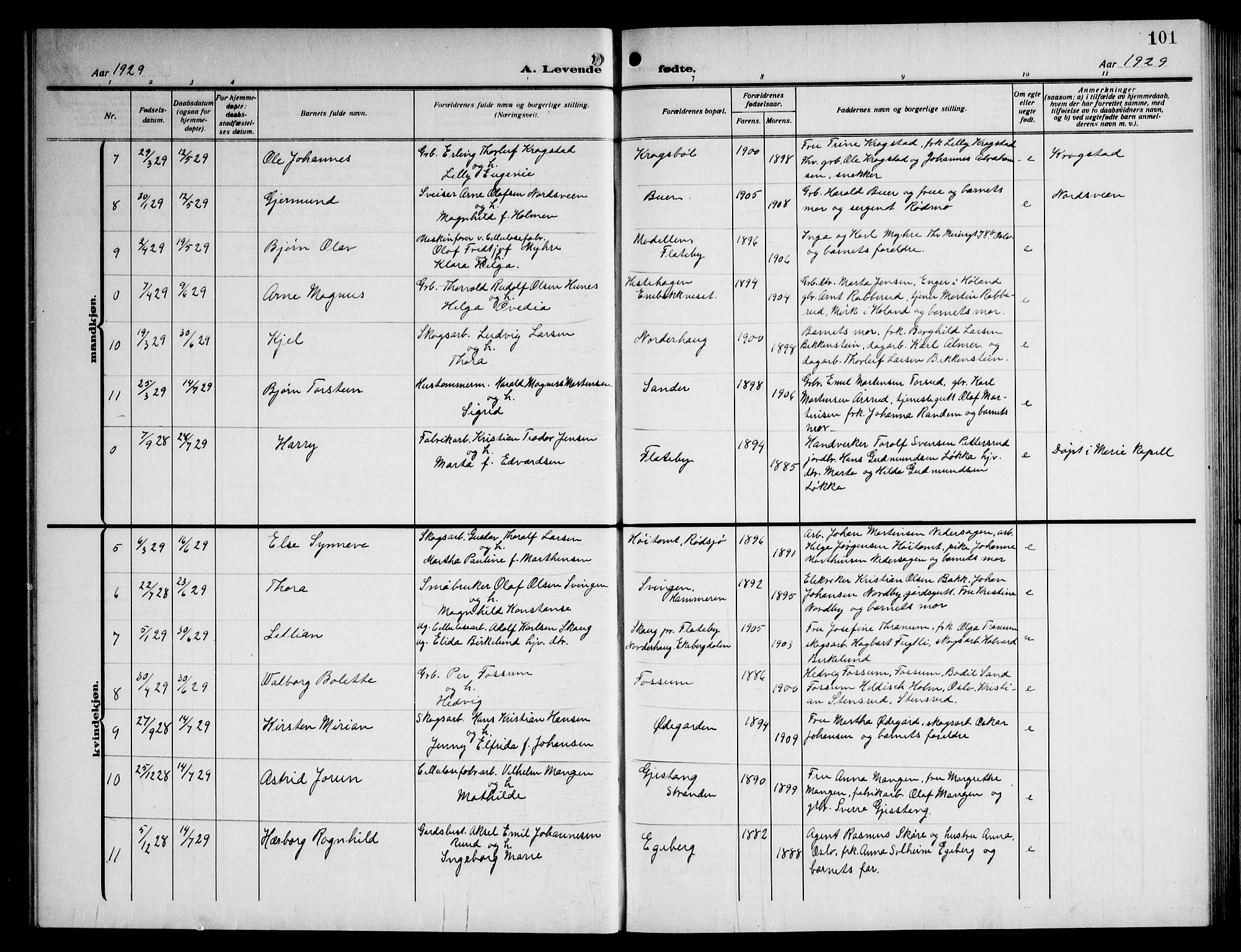 Enebakk prestekontor Kirkebøker, AV/SAO-A-10171c/G/Ga/L0007: Parish register (copy) no. I 7, 1911-1949, p. 101