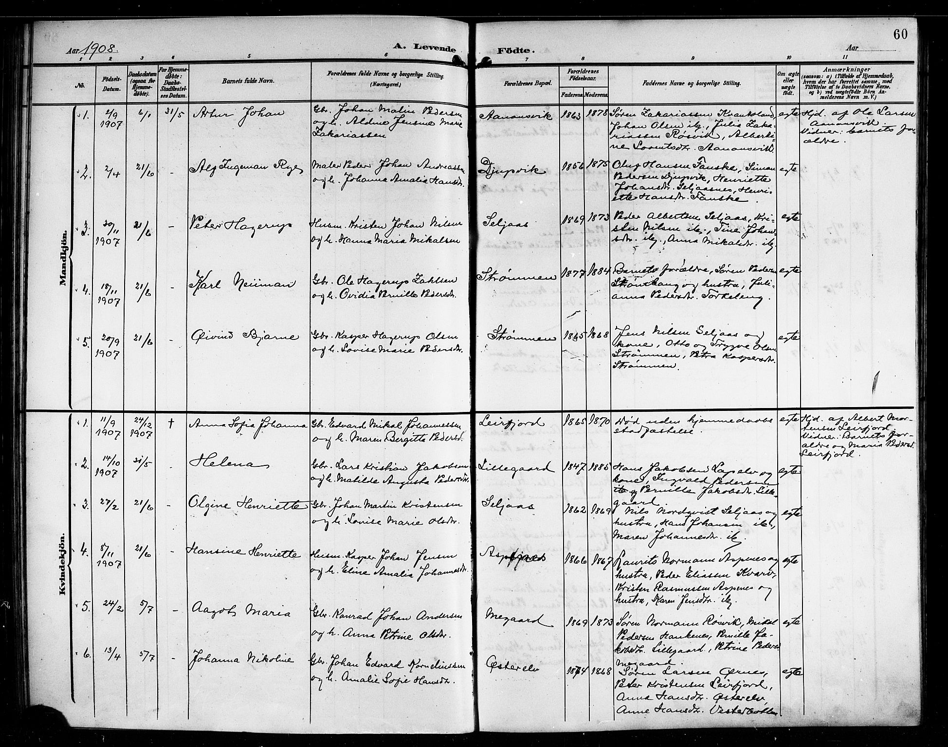 Ministerialprotokoller, klokkerbøker og fødselsregistre - Nordland, AV/SAT-A-1459/854/L0786: Parish register (copy) no. 854C02, 1901-1912, p. 60