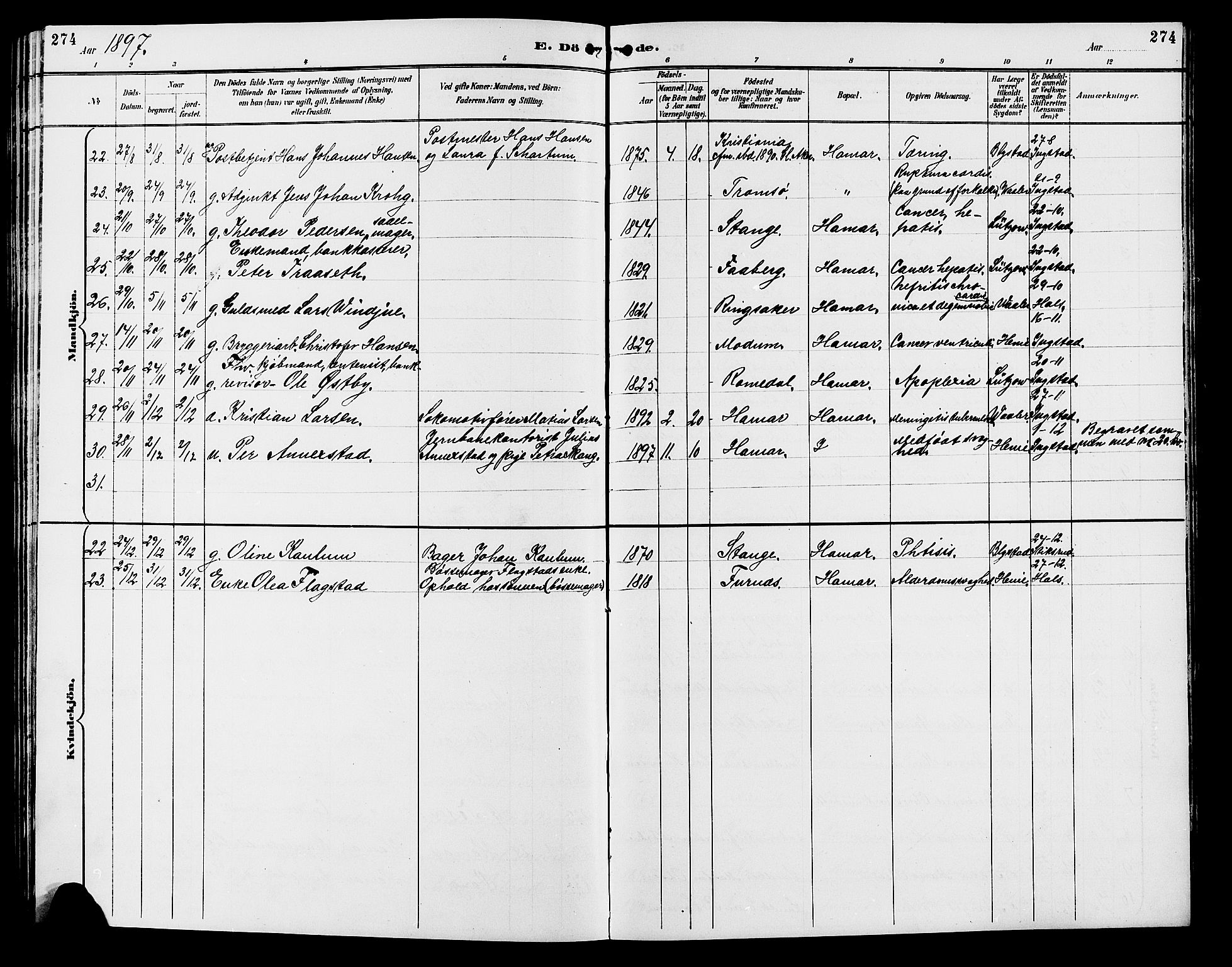 Vang prestekontor, Hedmark, AV/SAH-PREST-008/H/Ha/Hab/L0013: Parish register (copy) no. 13, 1890-1899, p. 274