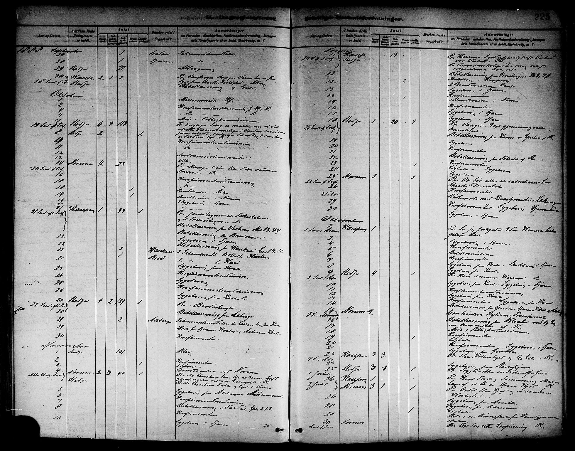 Sogndal sokneprestembete, AV/SAB-A-81301/H/Haa/Haab/L0001: Parish register (official) no. B 1, 1878-1899, p. 225