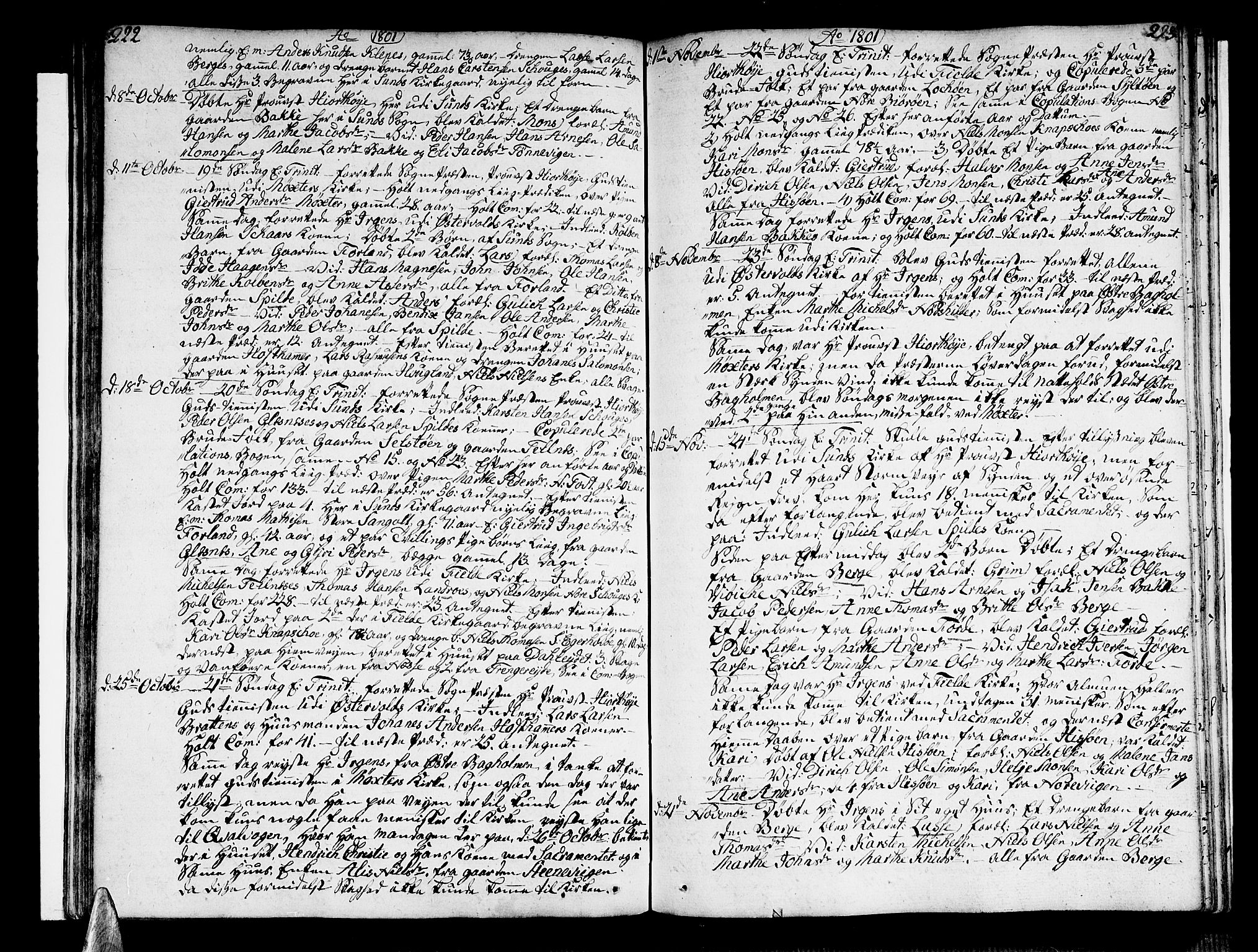 Sund sokneprestembete, AV/SAB-A-99930: Parish register (official) no. A 7, 1796-1815, p. 222-223