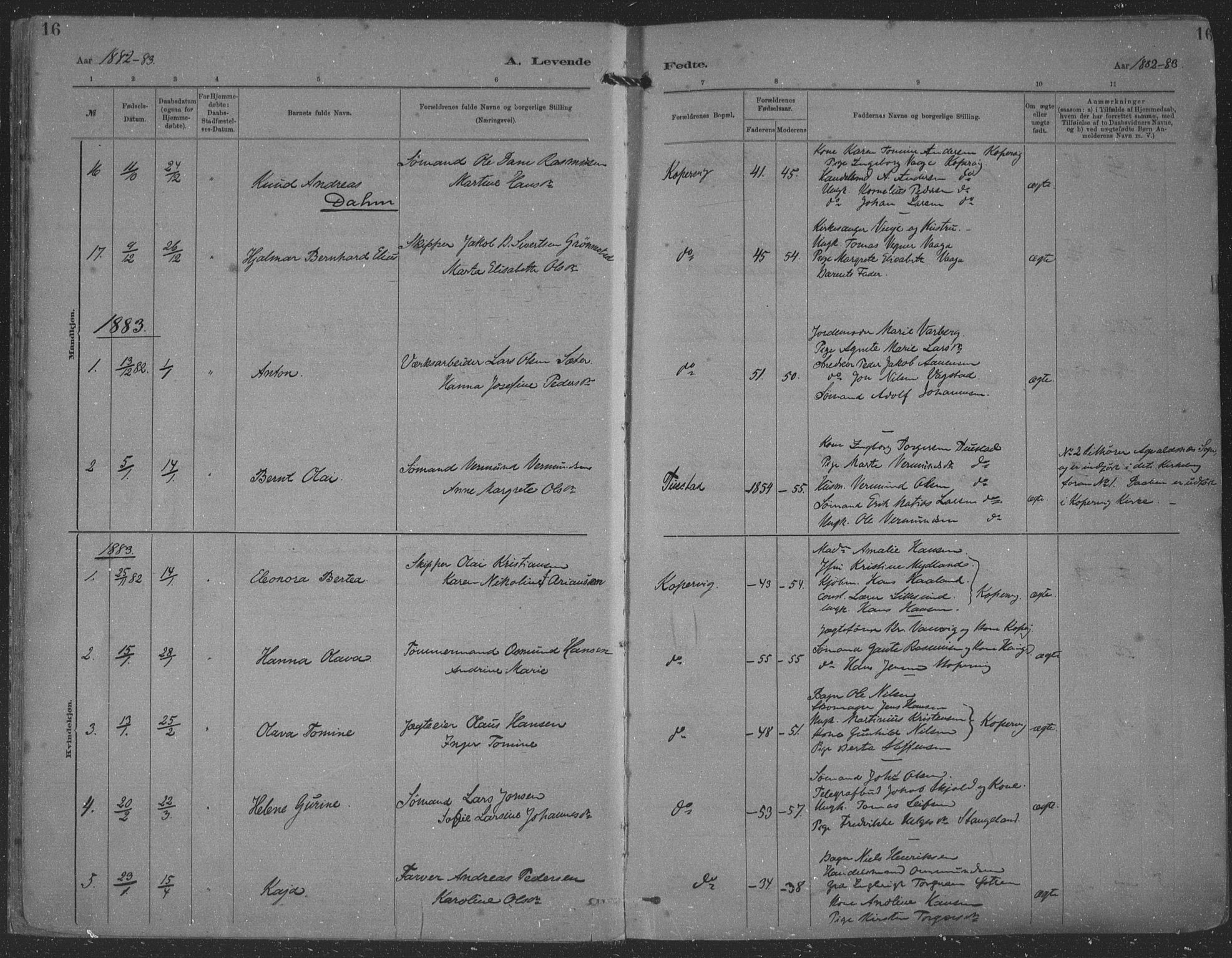 Kopervik sokneprestkontor, AV/SAST-A-101850/H/Ha/Haa/L0001: Parish register (official) no. A 1, 1880-1919, p. 16