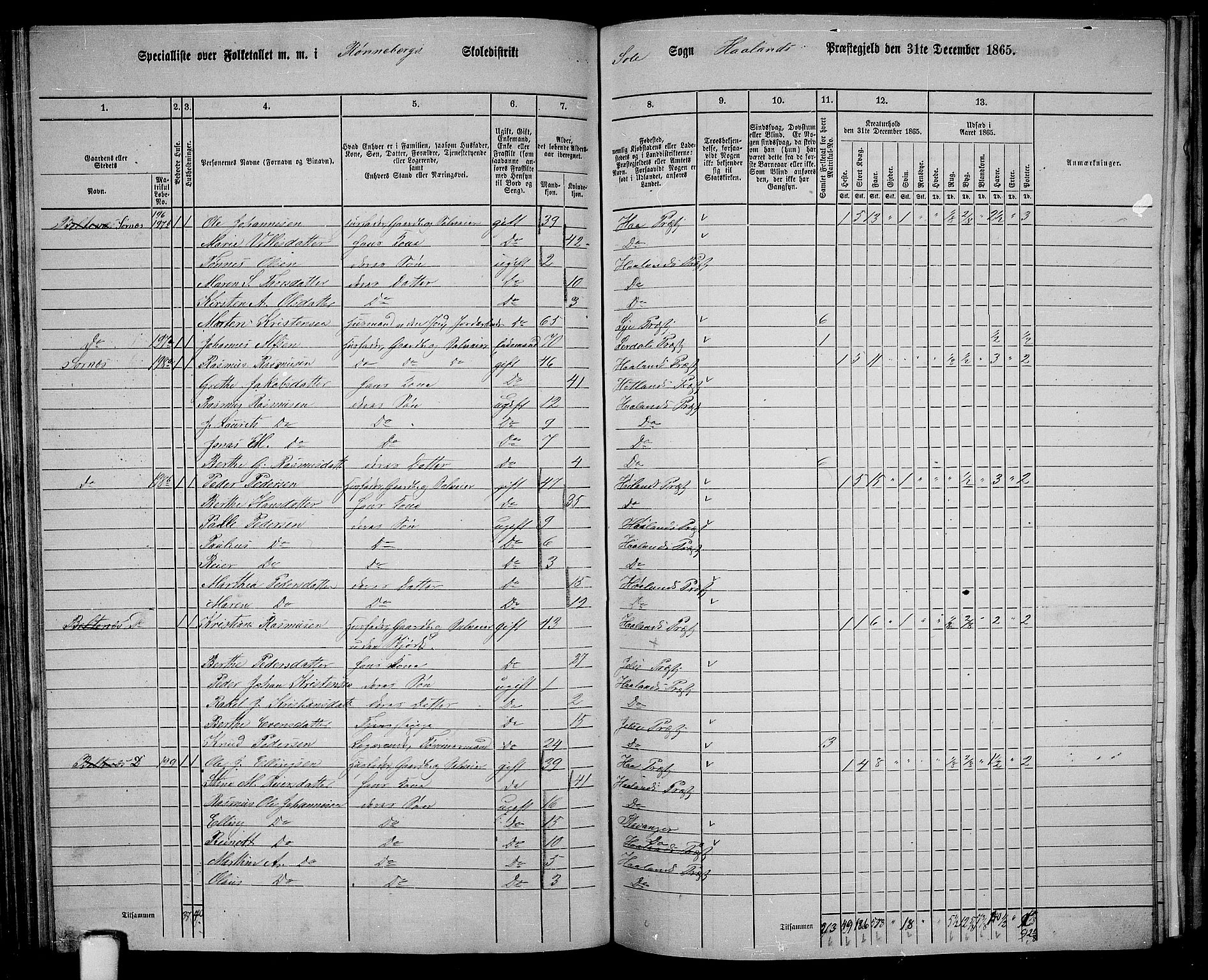 RA, 1865 census for Håland, 1865, p. 92