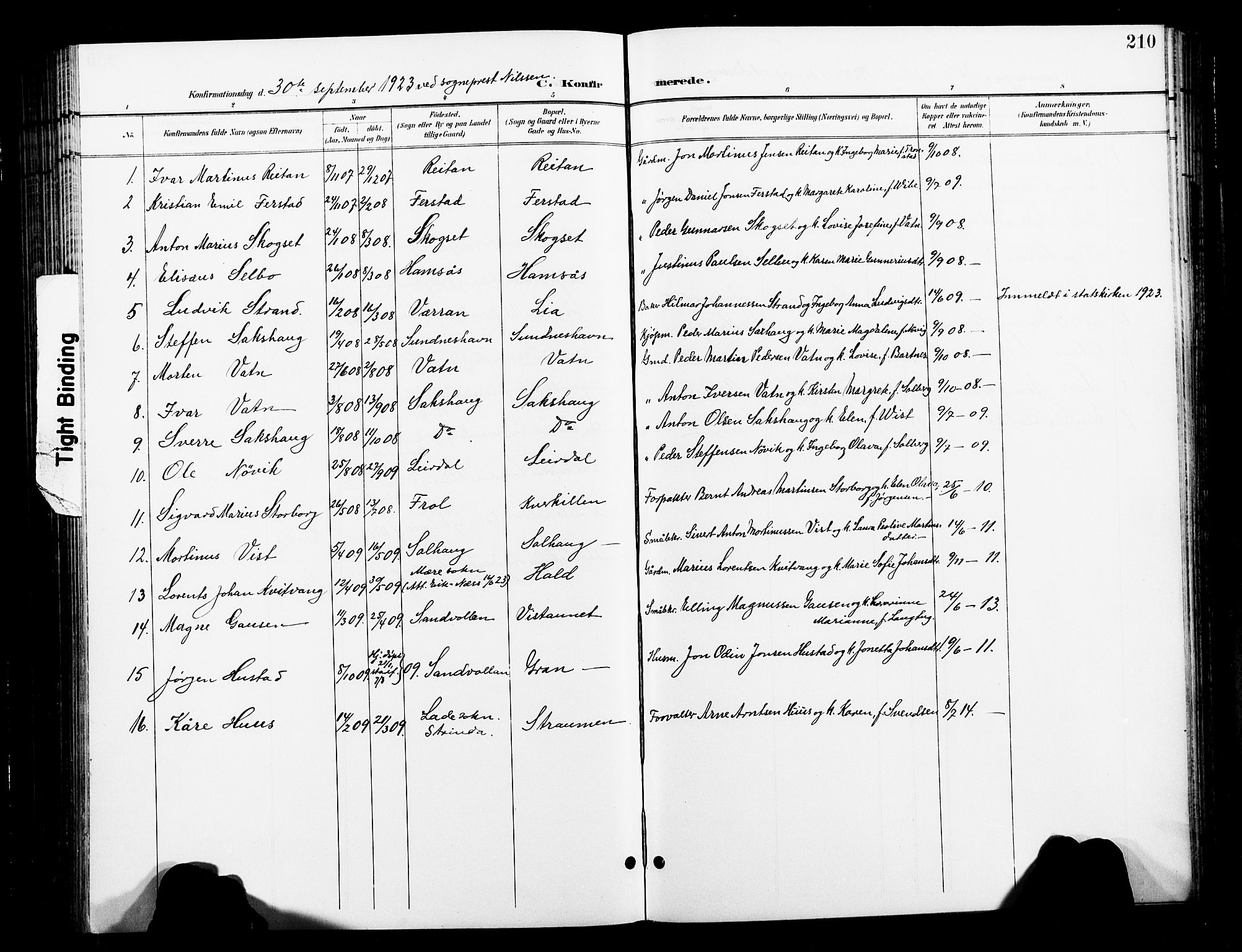Ministerialprotokoller, klokkerbøker og fødselsregistre - Nord-Trøndelag, SAT/A-1458/730/L0302: Parish register (copy) no. 730C05, 1898-1924, p. 210
