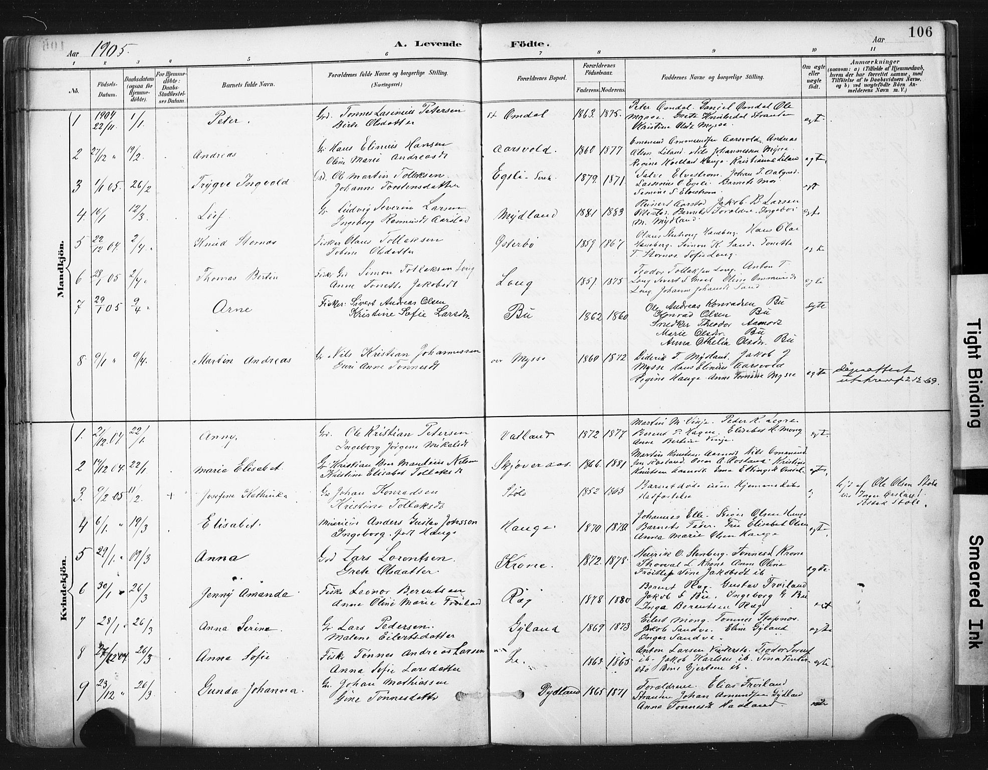 Sokndal sokneprestkontor, SAST/A-101808: Parish register (official) no. A 11.1, 1887-1905, p. 106