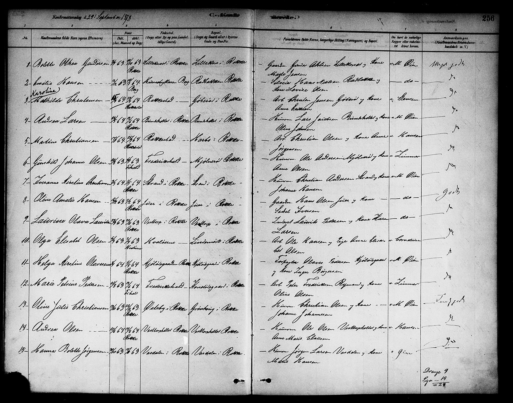 Berg prestekontor Kirkebøker, AV/SAO-A-10902/F/Fc/L0001: Parish register (official) no. III 1, 1878-1887, p. 256