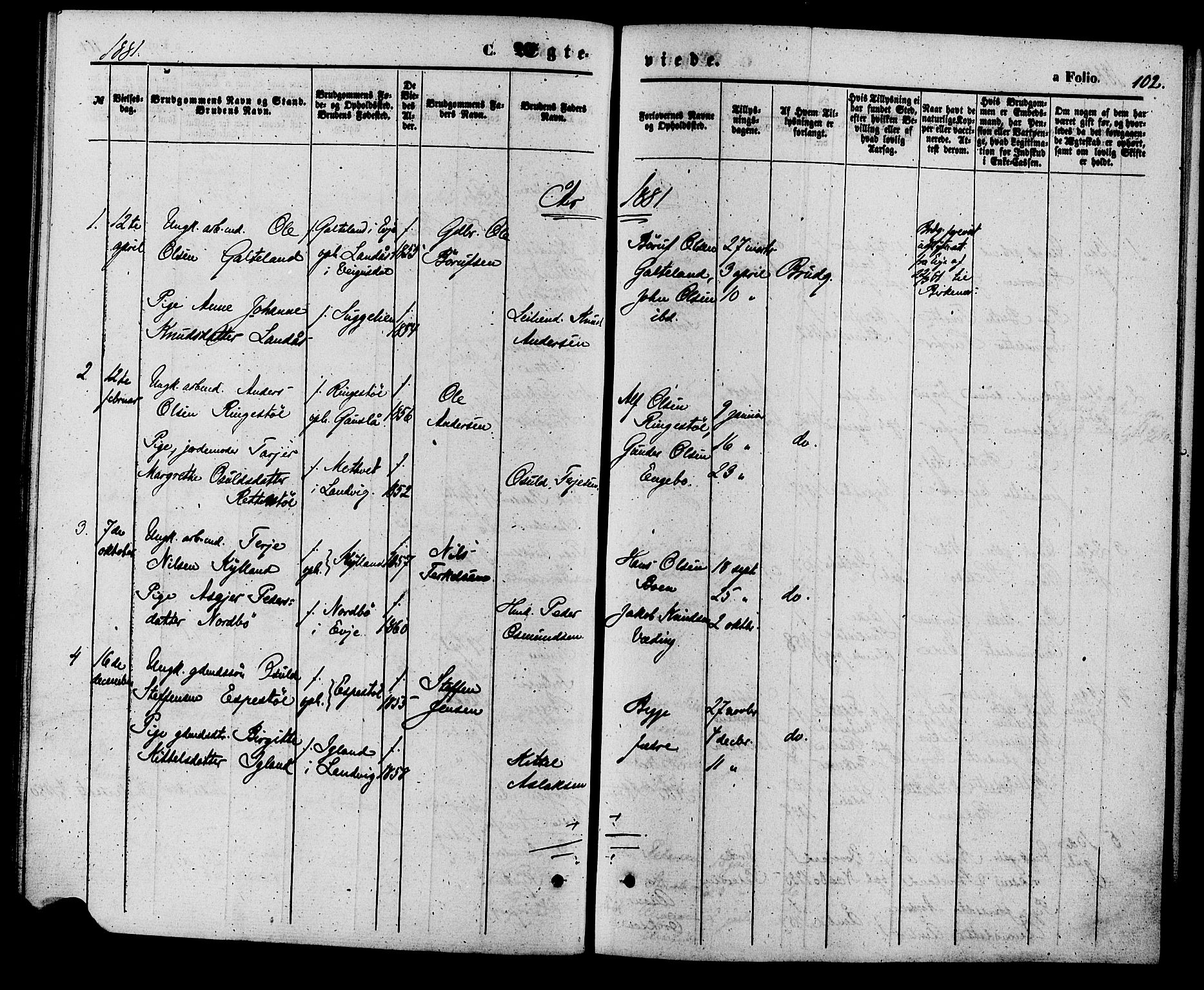 Herefoss sokneprestkontor, AV/SAK-1111-0019/F/Fa/Faa/L0002: Parish register (official) no. A 2, 1861-1886, p. 102